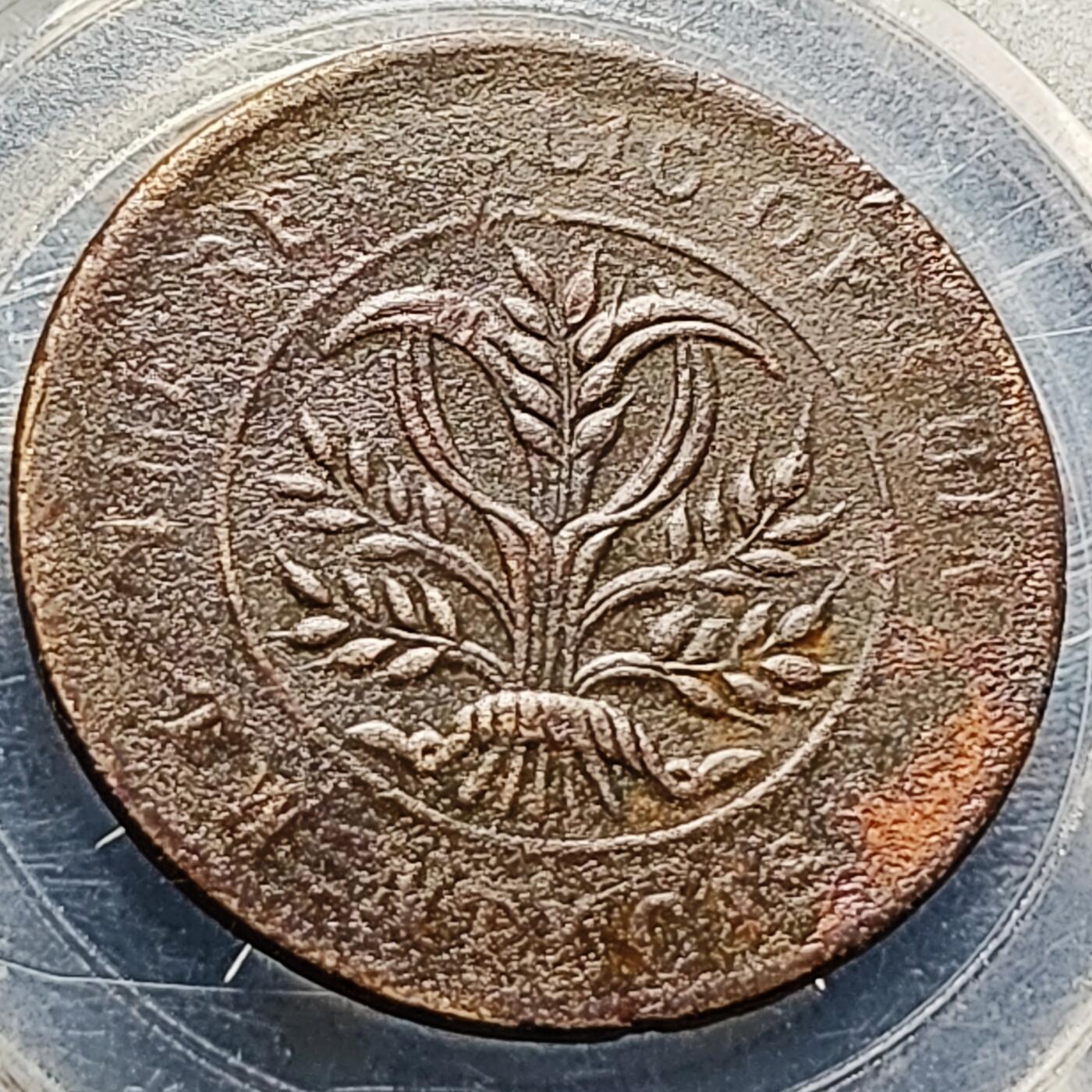 泉币菌-第212场-拍品多 请提前出价（工作最近较忙 发货不及时，望理解） 传世美品 