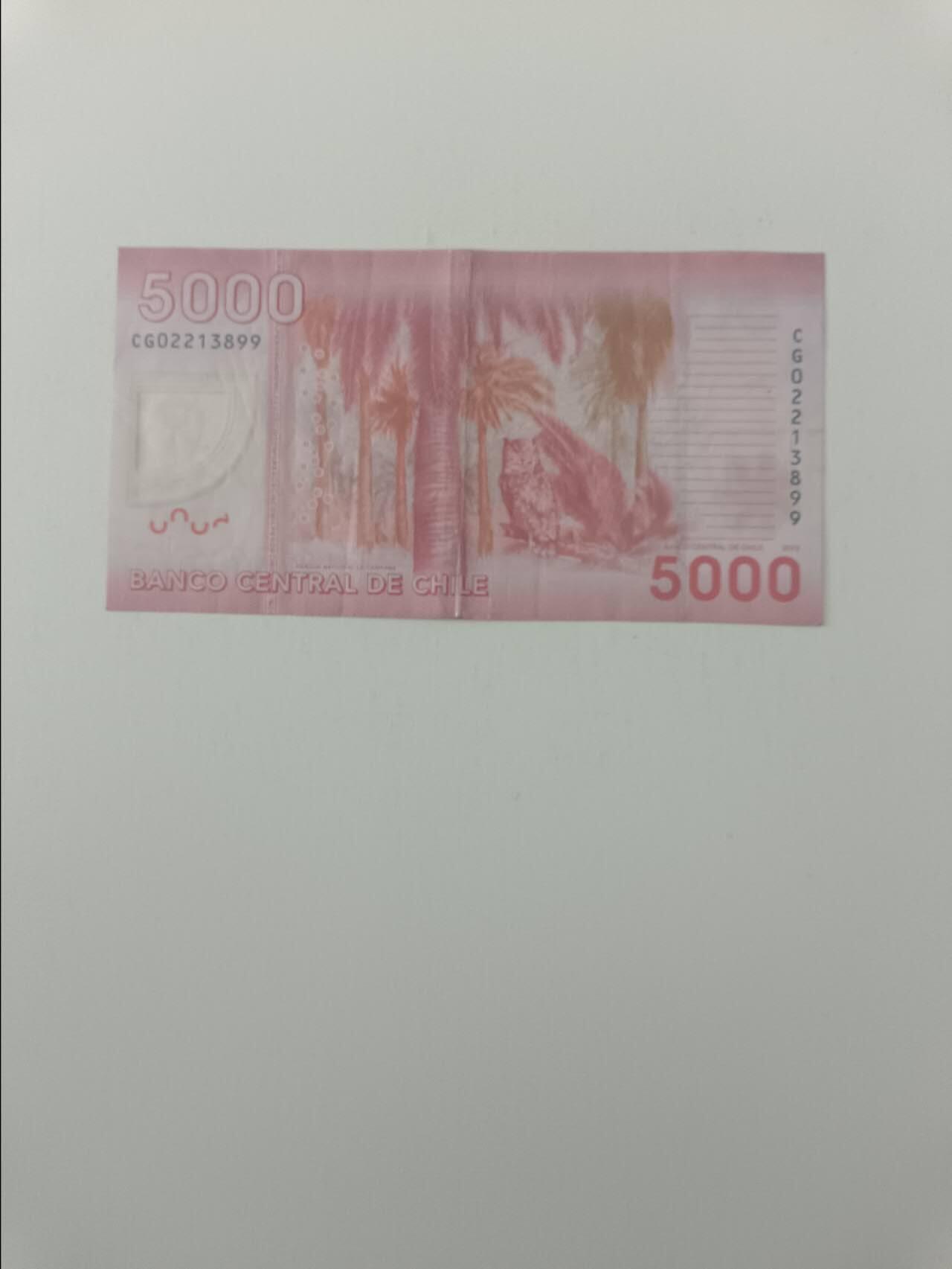 【20260319】非全新纸币和硬币第347场 智利5000比索塑料钞