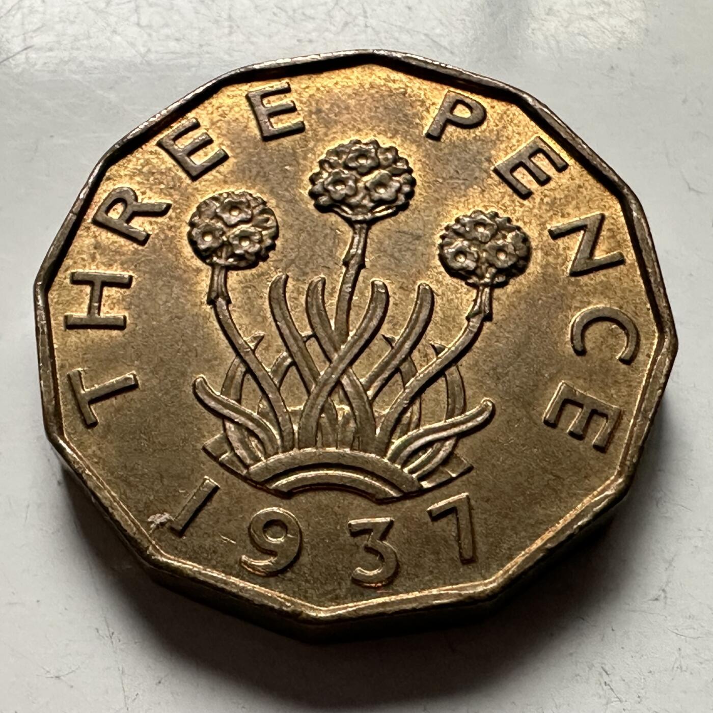 🌹外币初藏🌹🐯2026年第30场   每周二四六晚8️⃣点 接代拍 英国1937年三便士