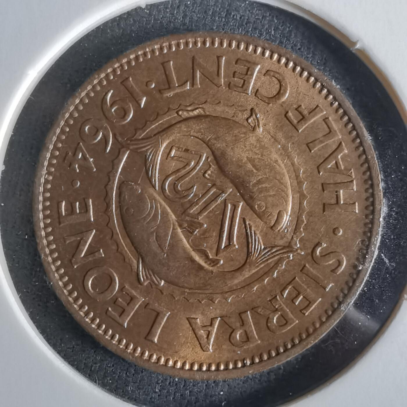 沼泽如烟--第1026场