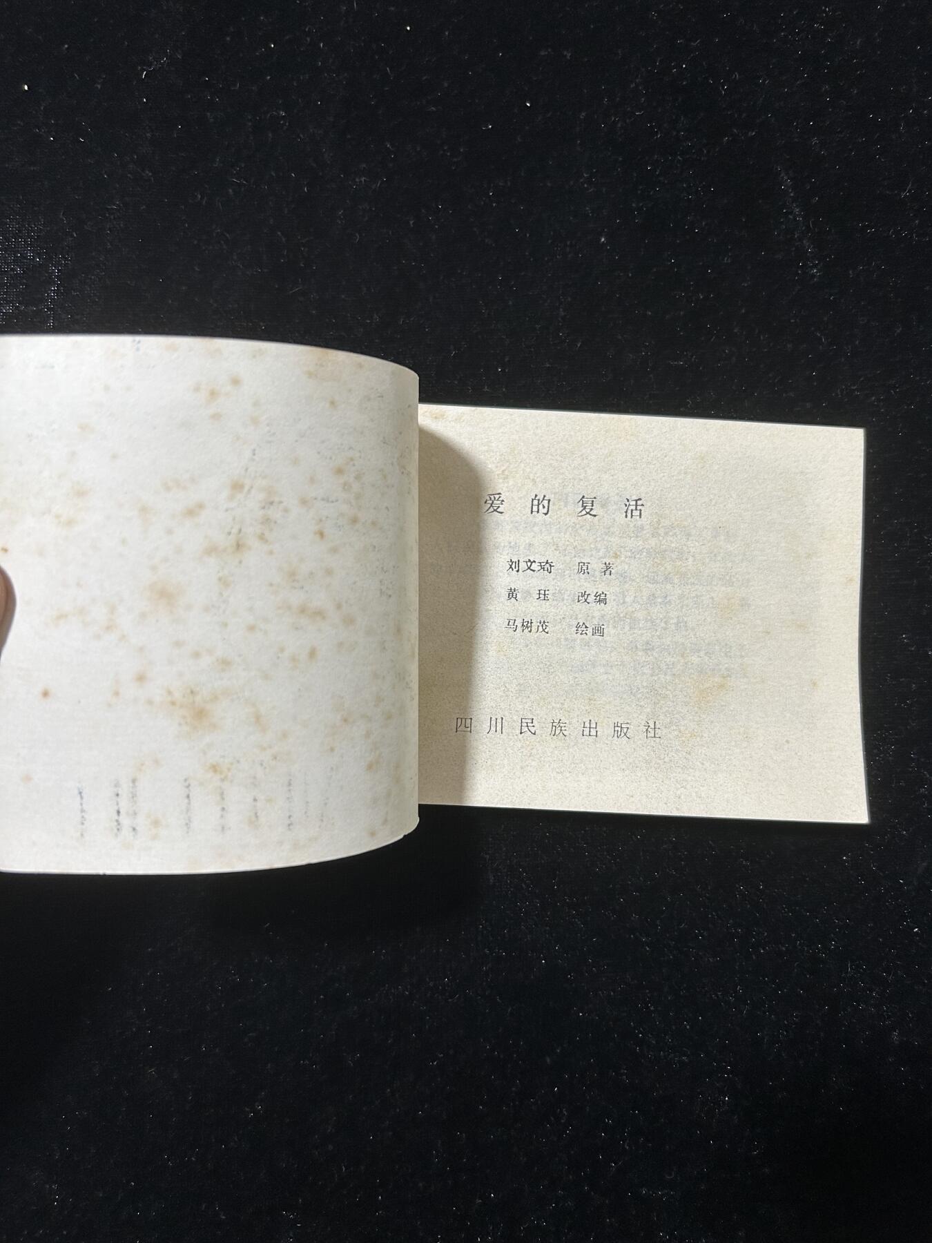 爱的复活（少见书）