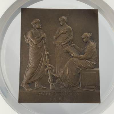 掌中浮雕-藏着的欧洲第055场 - NGC MS63 : 1908年法国新艺术运动50周年之国际医学会纪念章，70 X 58mm；Nicolas Maier法国章优秀作品集#239号