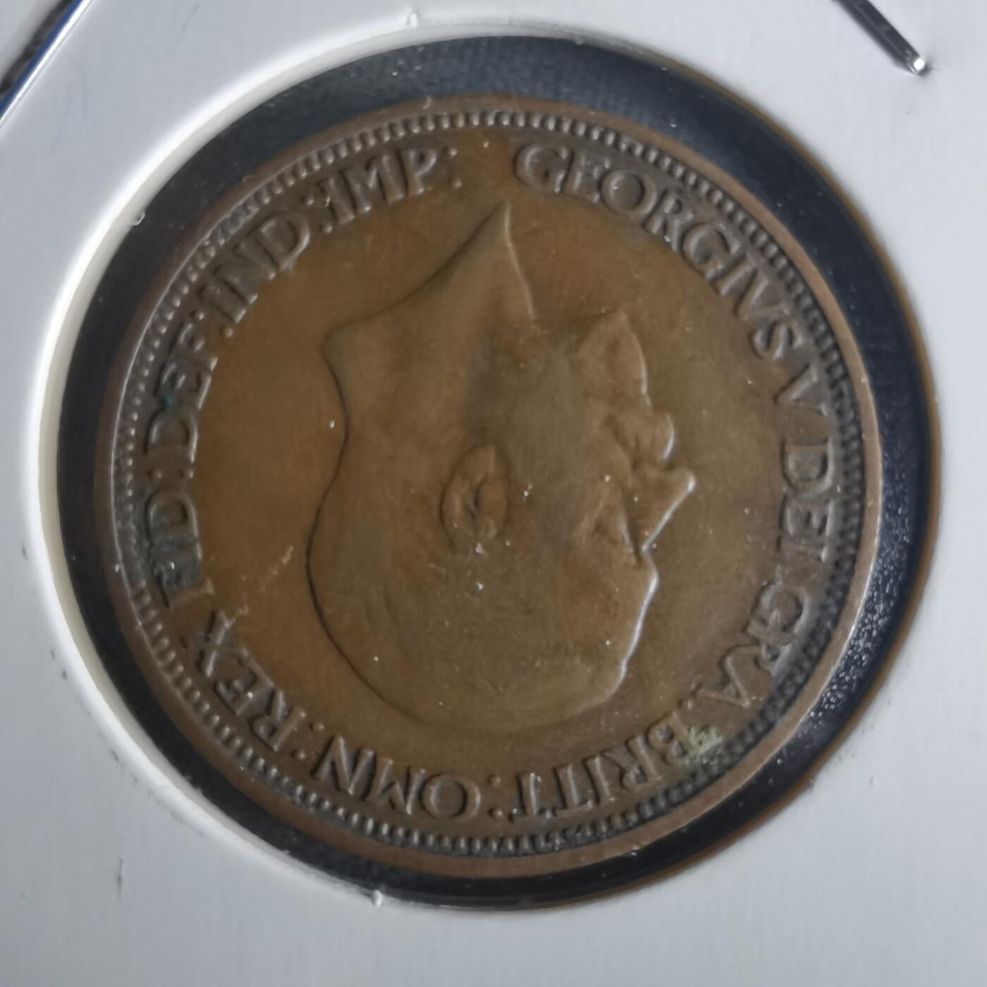 沼泽如烟--第1026场