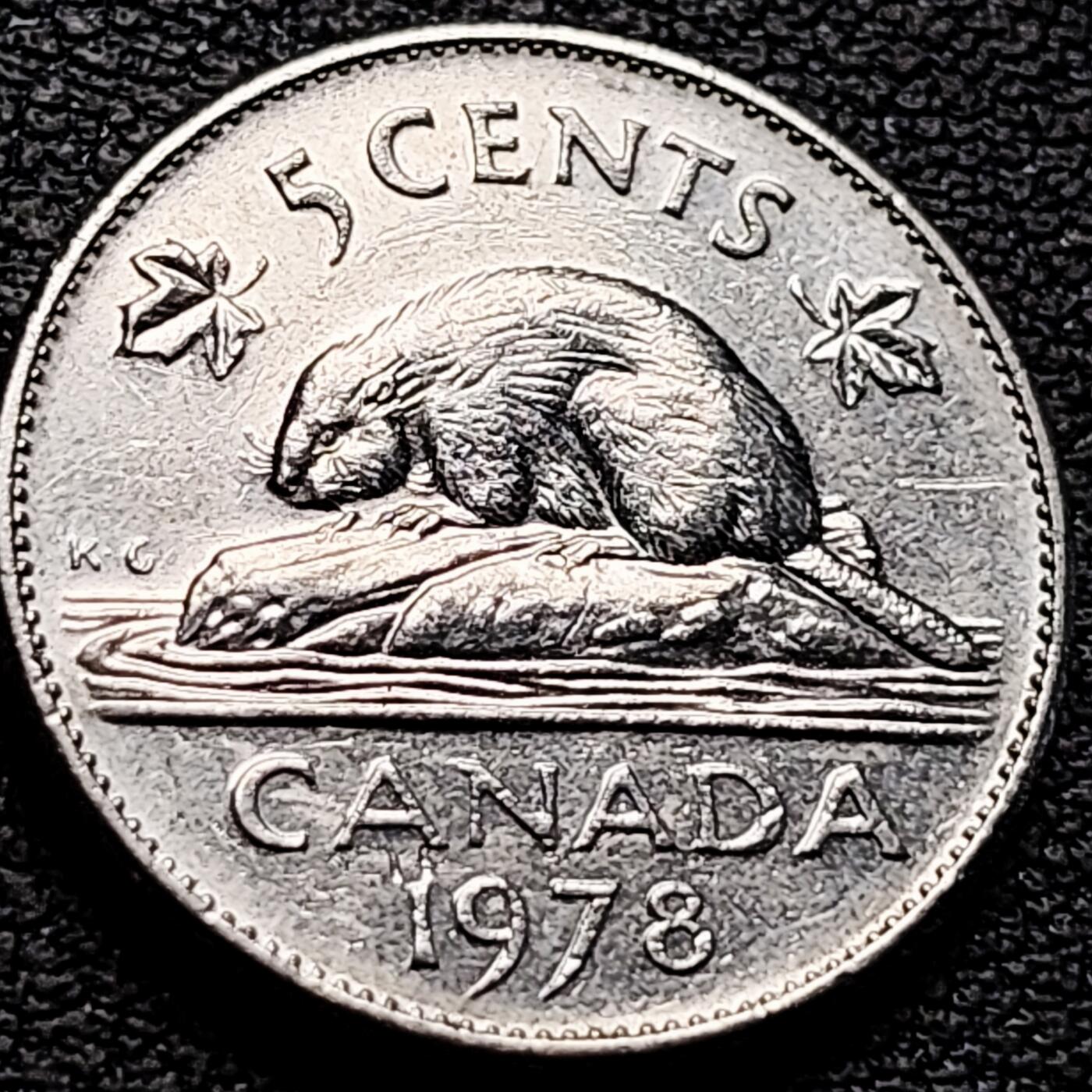 泉币菌-第212场-拍品多 请提前出价（工作最近较忙 发货不及时，望理解） 。