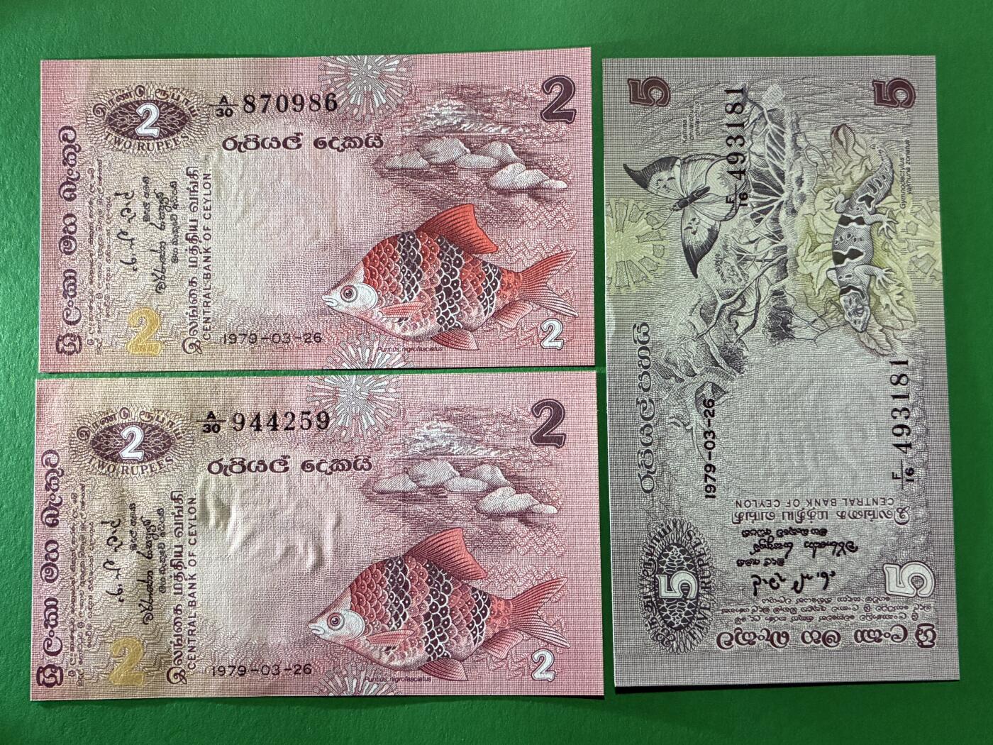 咖啡豆•收藏 2026年Mar_24th世界各国纸币拍卖 3枚 锡兰/斯里兰卡 1979年 2&5卢比 全新UNC 外国 亚洲纸币