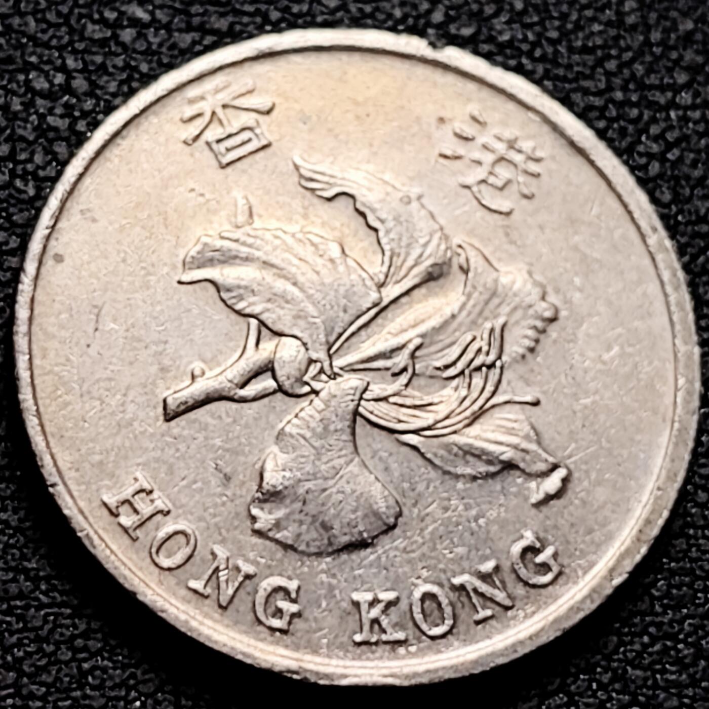 泉币菌-第212场-拍品多 请提前出价（工作最近较忙 发货不及时，望理解） 。