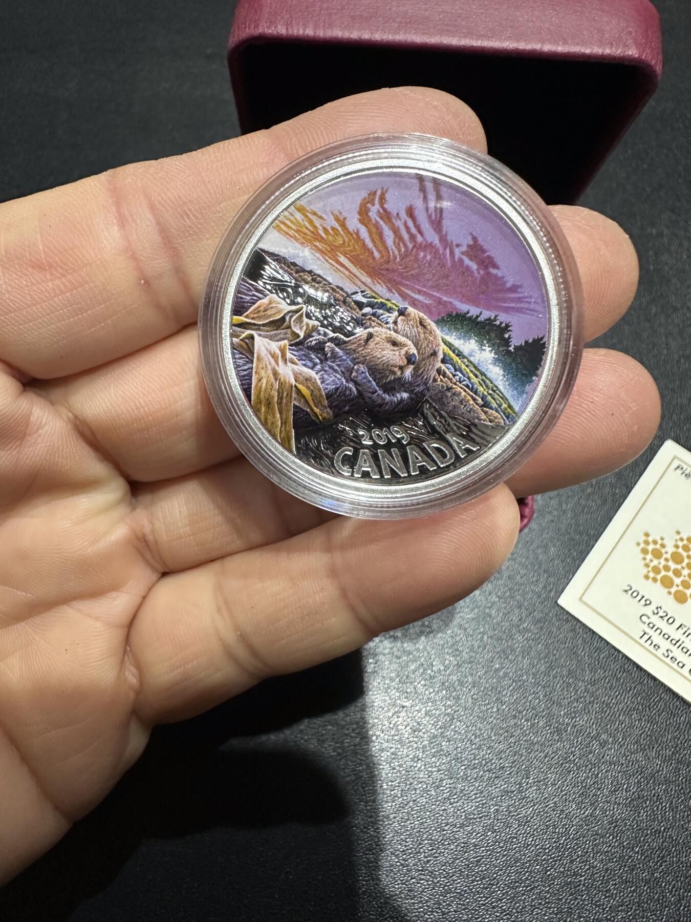 《外钞收藏家》第六百一十九期（精品场）（长期征集拍品、欢迎藏友们联系合作） 2019年加拿大动物群体系列 水獭 彩色精致银币 1盎司 原盒原证书