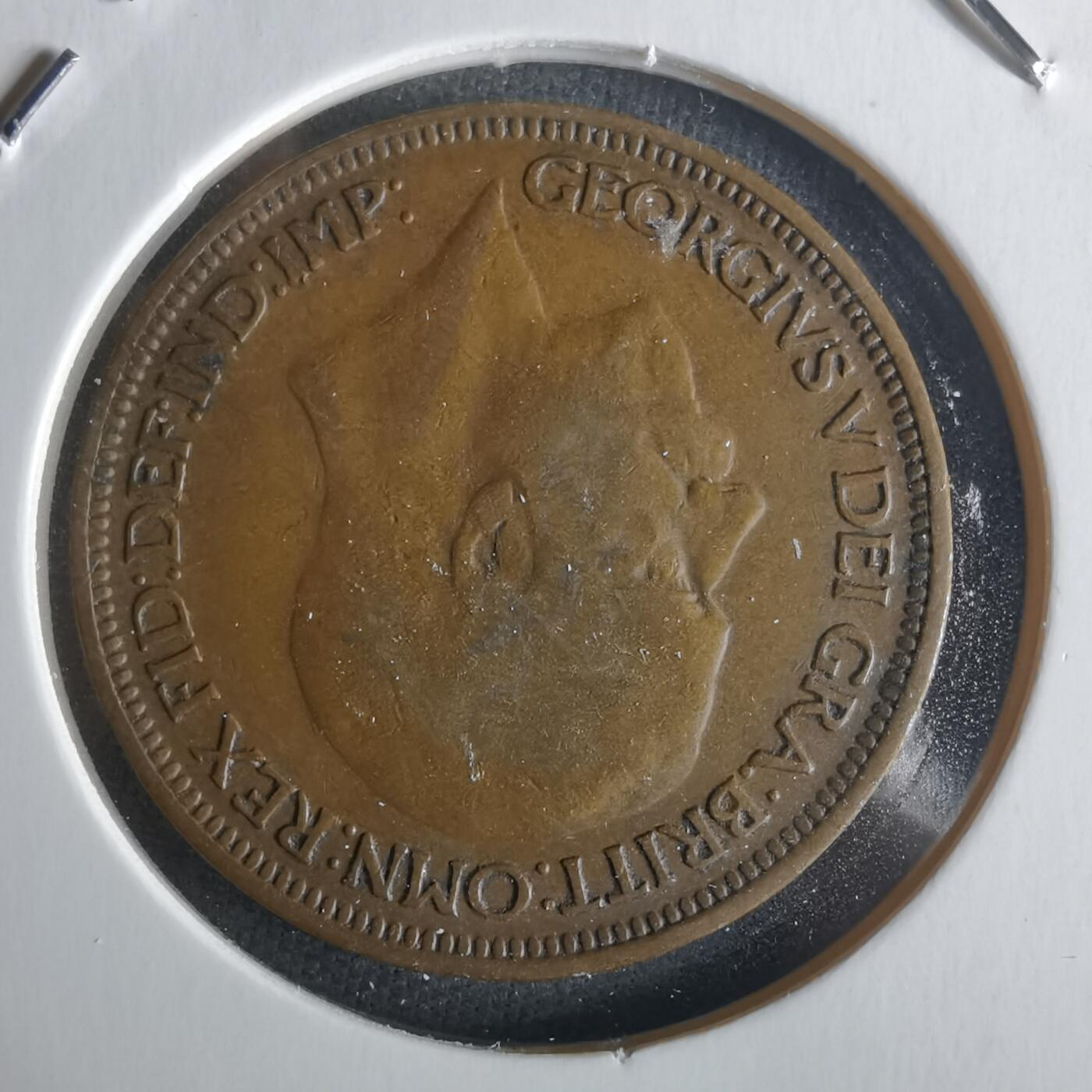 沼泽如烟--第1026场