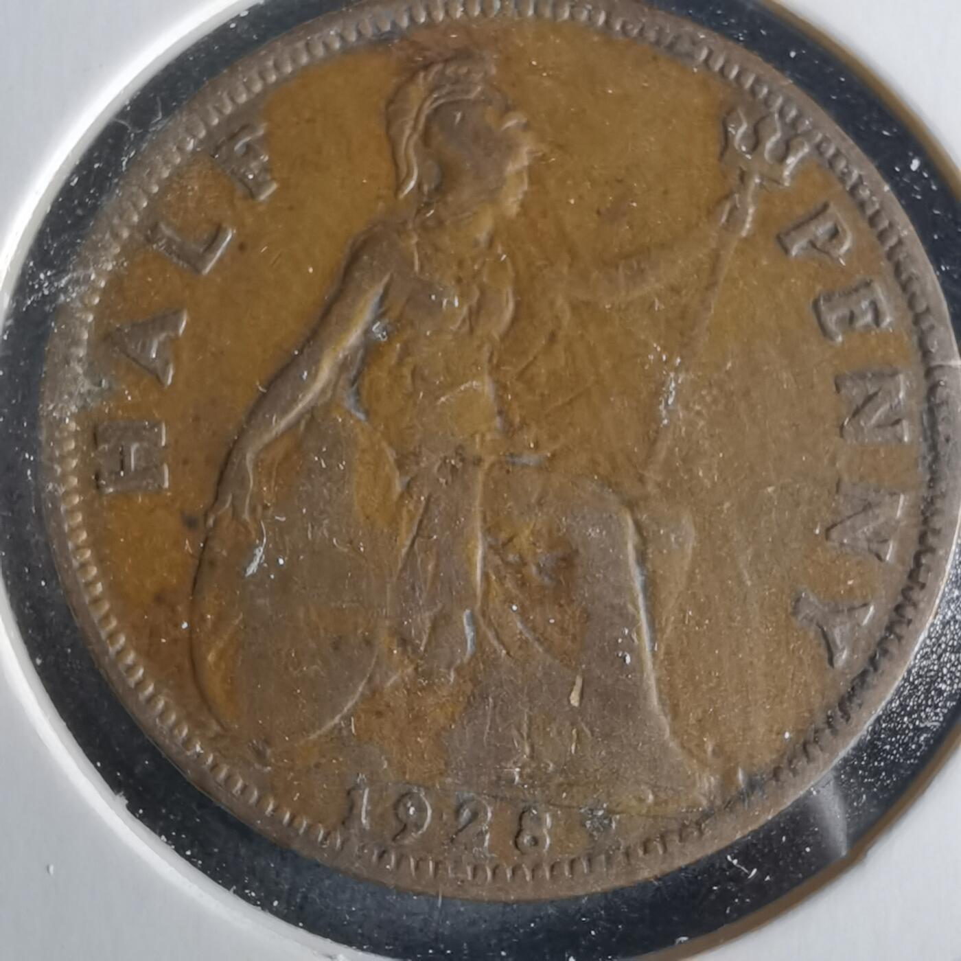 沼泽如烟--第1026场