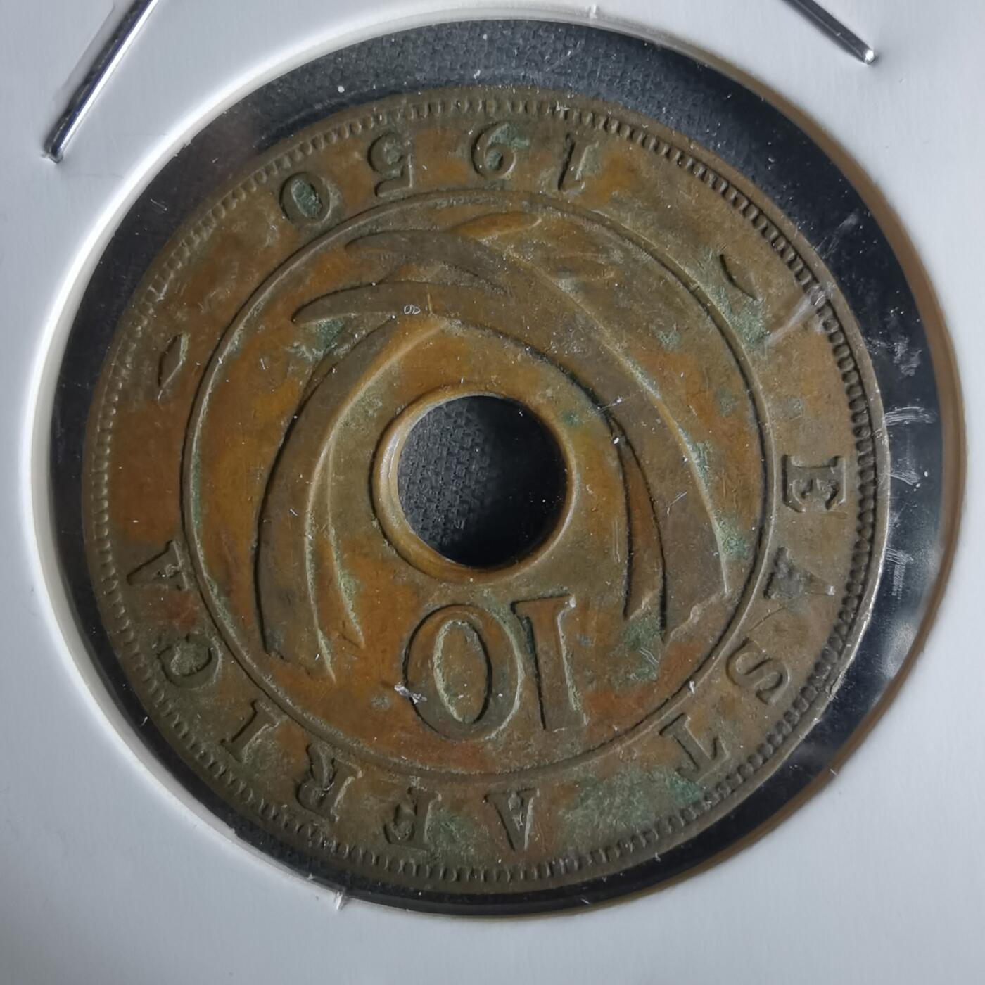 沼泽如烟--第1026场 东非1950年十分