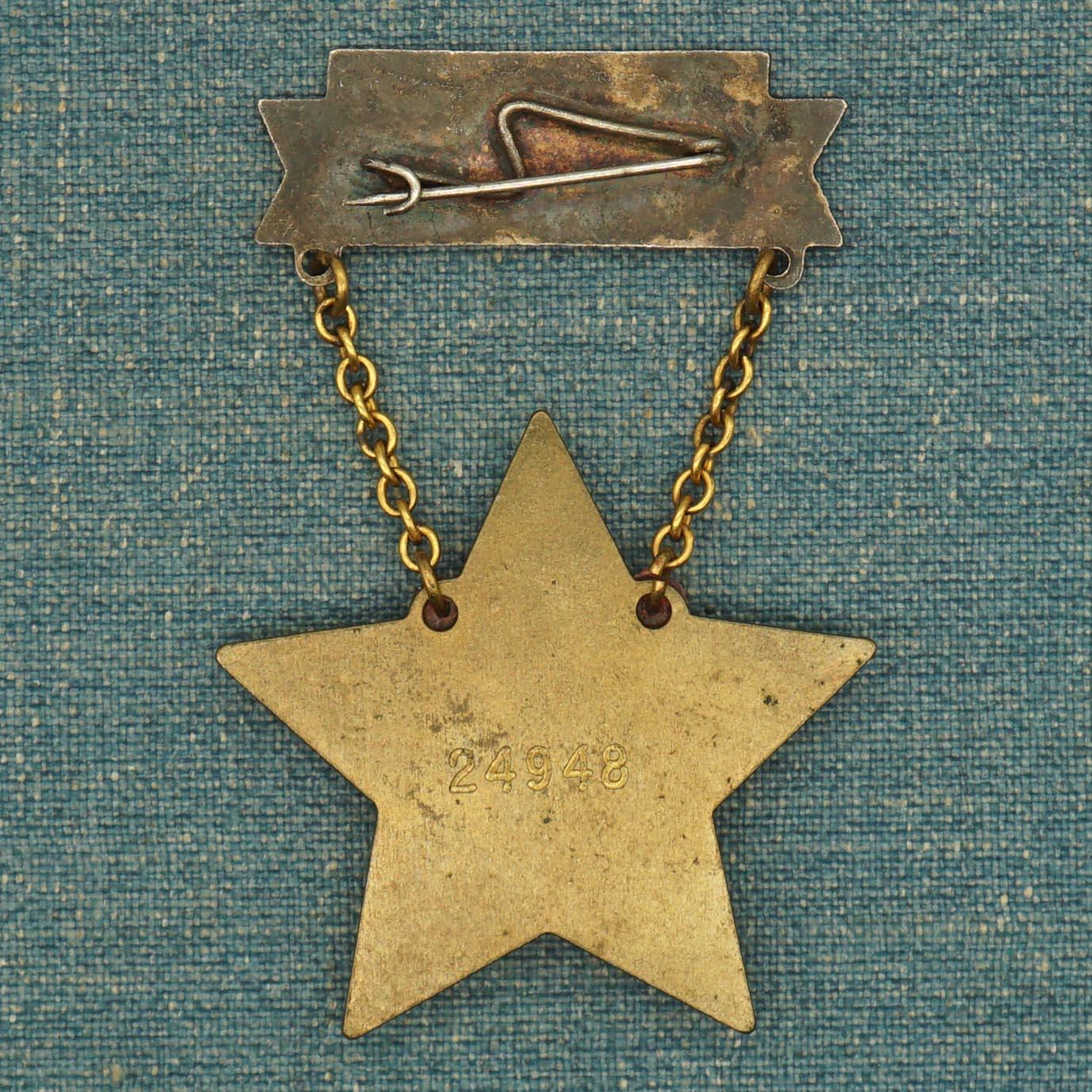 【涛泉堂】第40期（3月22日）勋奖章徽章专场拍卖 匈牙利卓越工作者证章