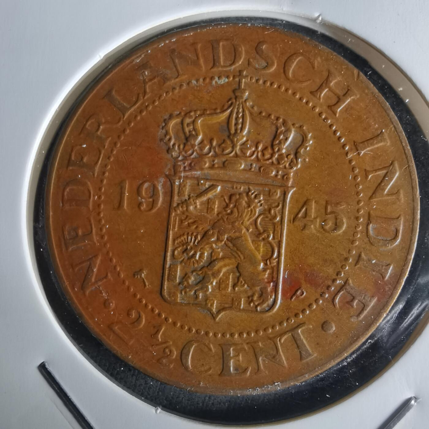 沼泽如烟--第1026场