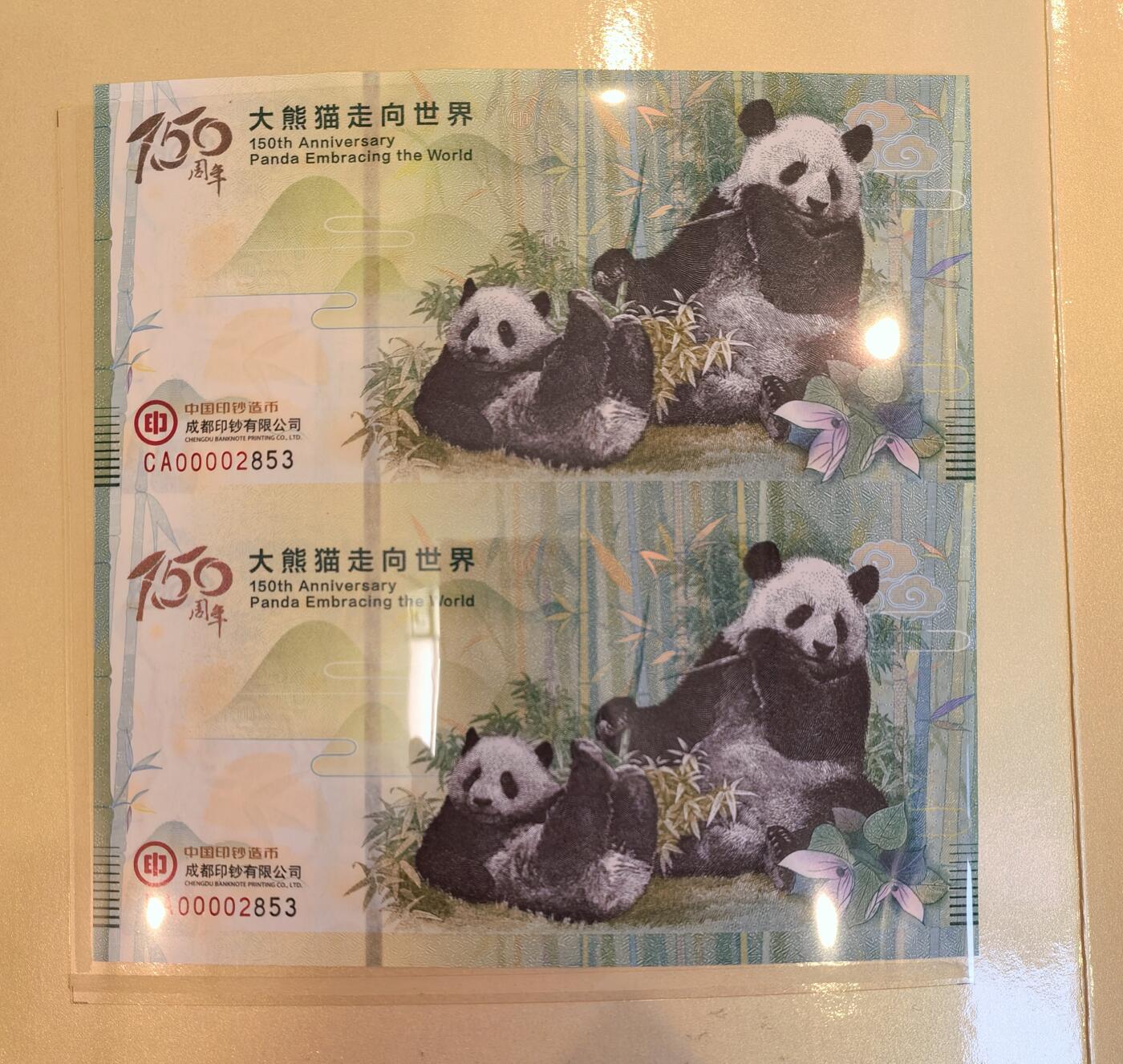 大熊猫走向世界--双连张 册装全品