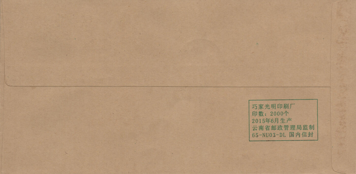 2026年03月21日19:30海外、大陆、澳门、香港邮政精品首日实寄封拍卖专场 2019中国《芍药5原地》公函封首日实寄封