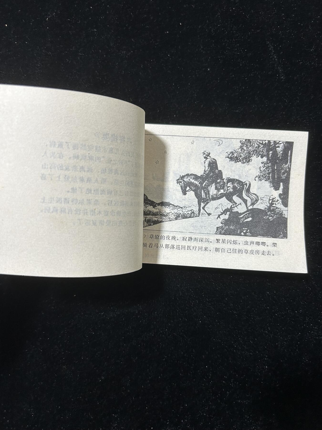 爱的复活（少见书）