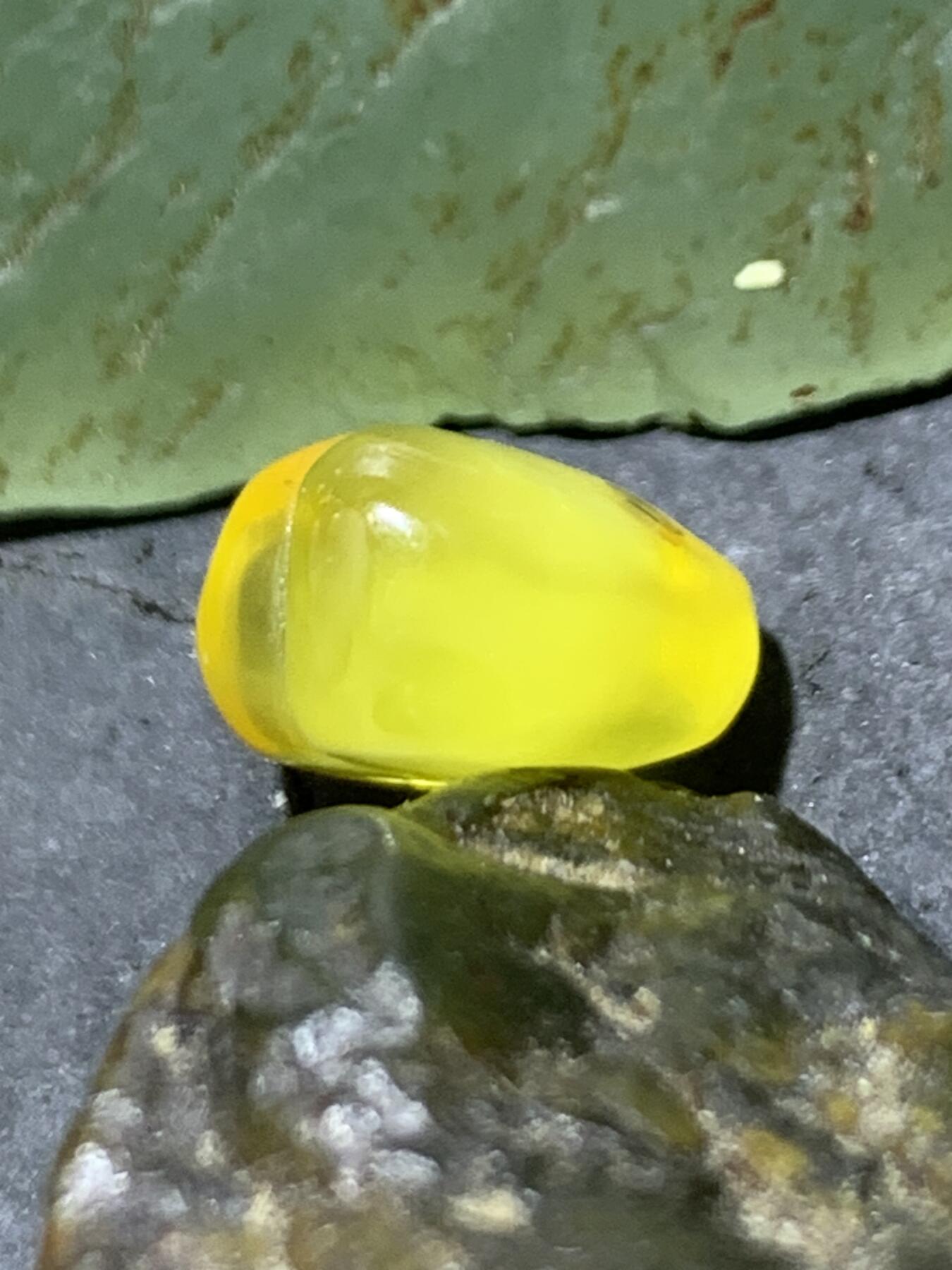 乌克兰蜜蜡爱心形通货戒面一个，