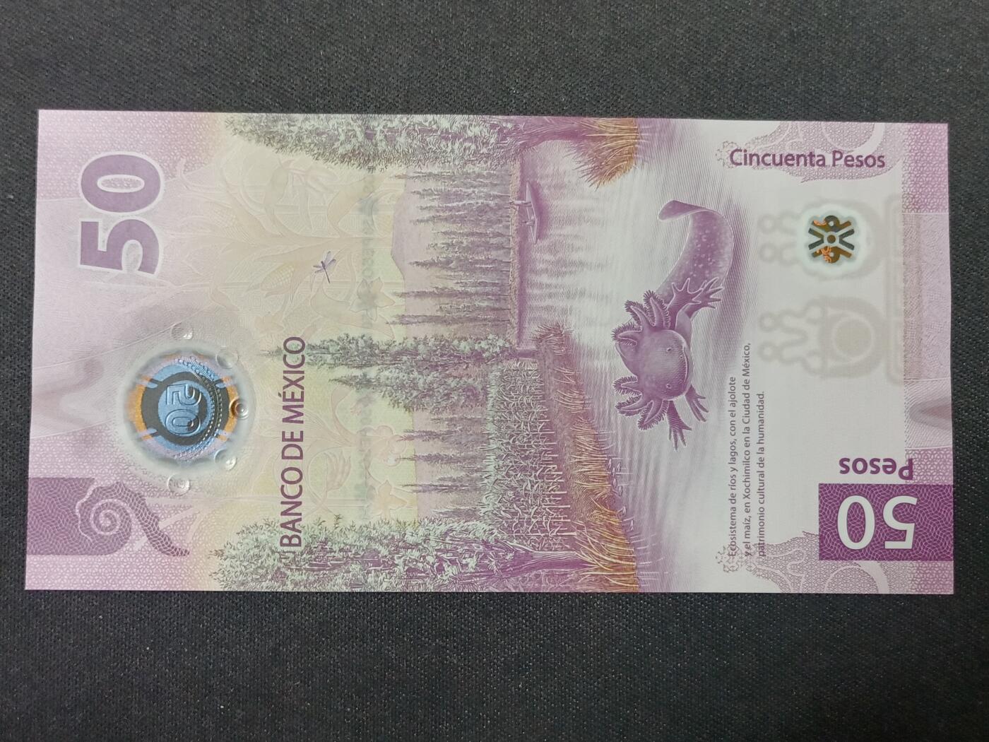 【游宝拍卖】丙午马年第14期 墨西哥-50比索【2021年 IBNS年度最佳钞票 全新UNC】