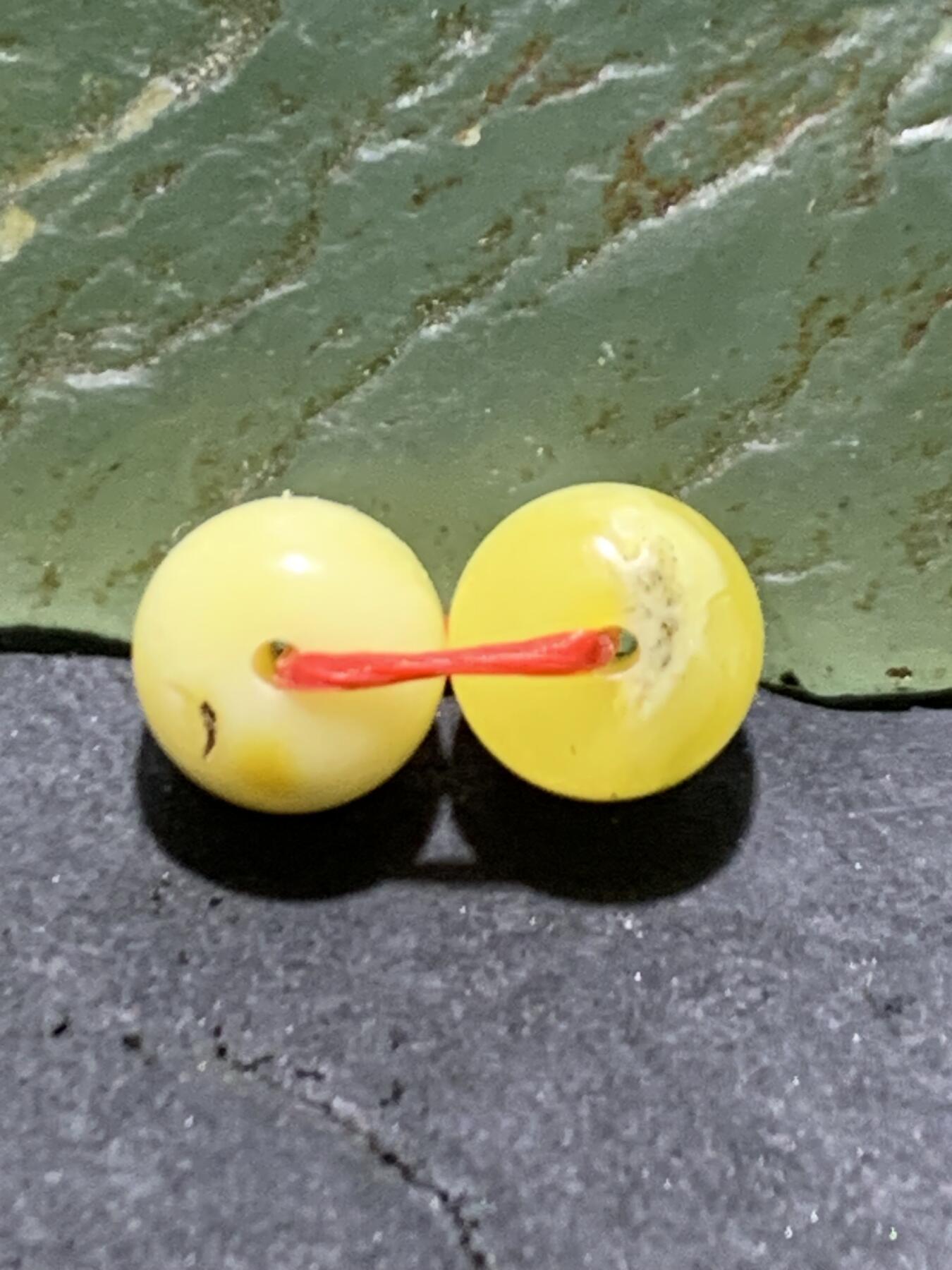 天然俄料原矿蜜蜡小尺寸老形桶珠腰珠两颗，