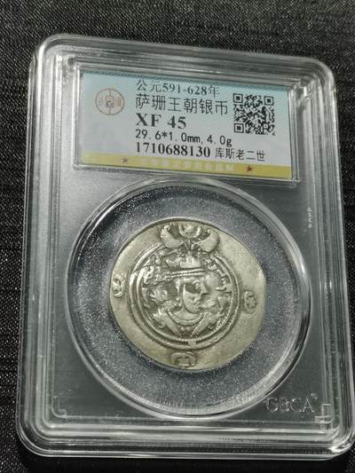 天下钱庄专场欢迎参拍 - 萨珊王朝银币
