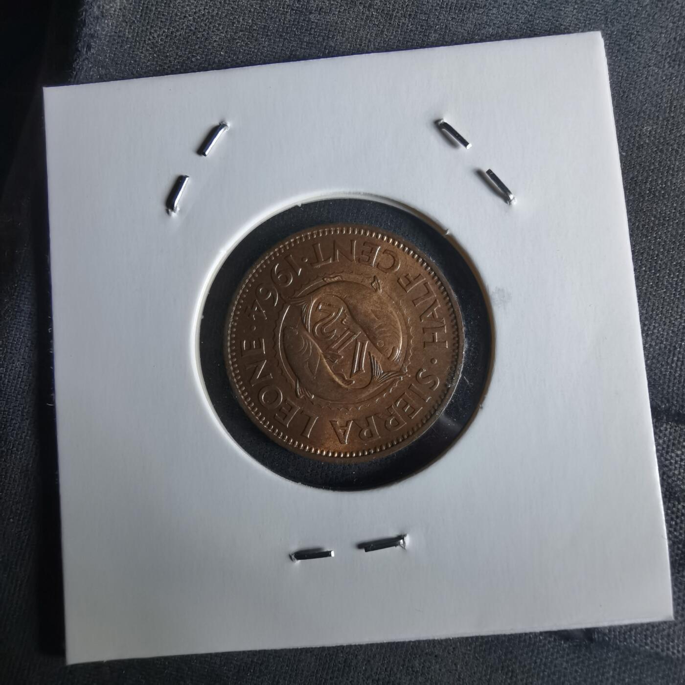 沼泽如烟--第1026场