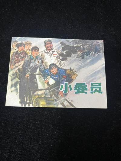 小委员 - 小委员