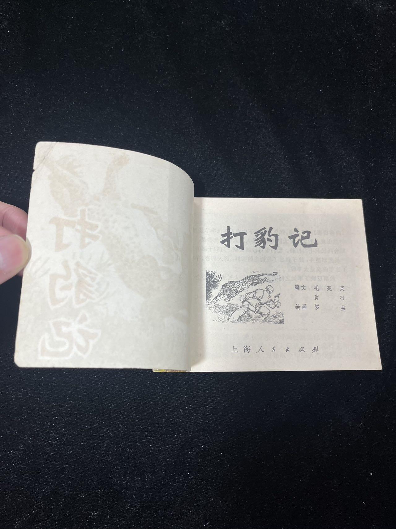 打豹记