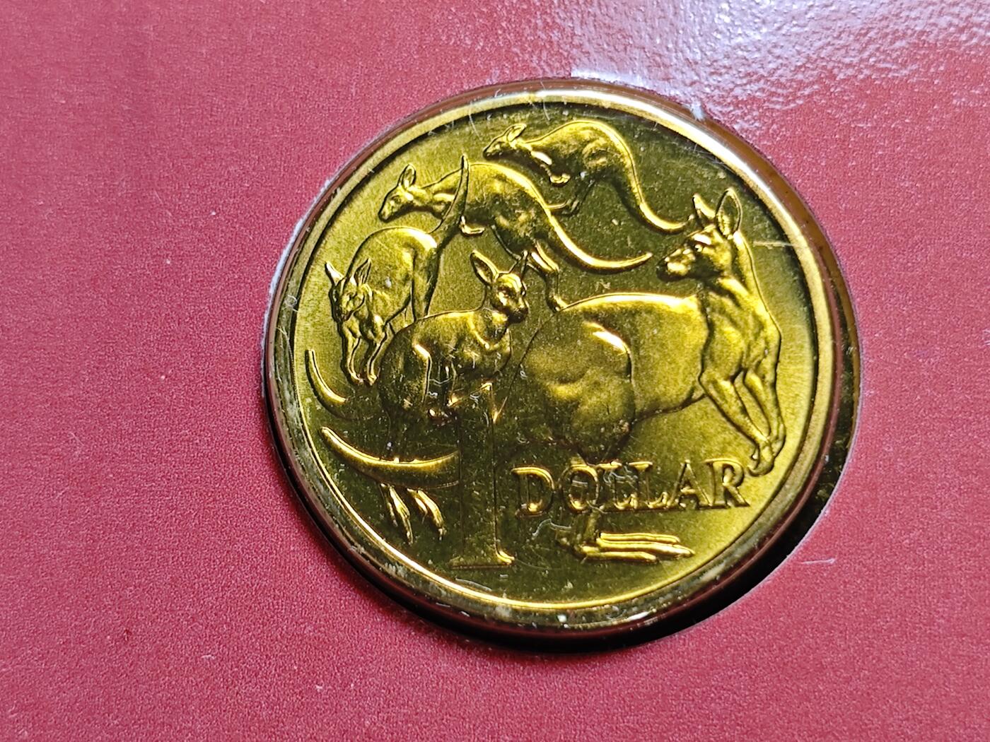 KK钱币收藏小铺   套币专场 2月预留时间 周末发货  1984澳大利亚1元袋鼠 卡册 好品