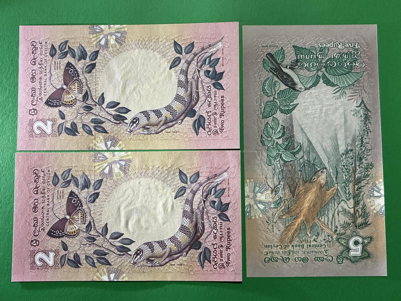 咖啡豆•收藏 2026年Mar_24th世界各国纸币拍卖 3枚 锡兰/斯里兰卡 1979年 2&5卢比 全新UNC 外国 亚洲纸币