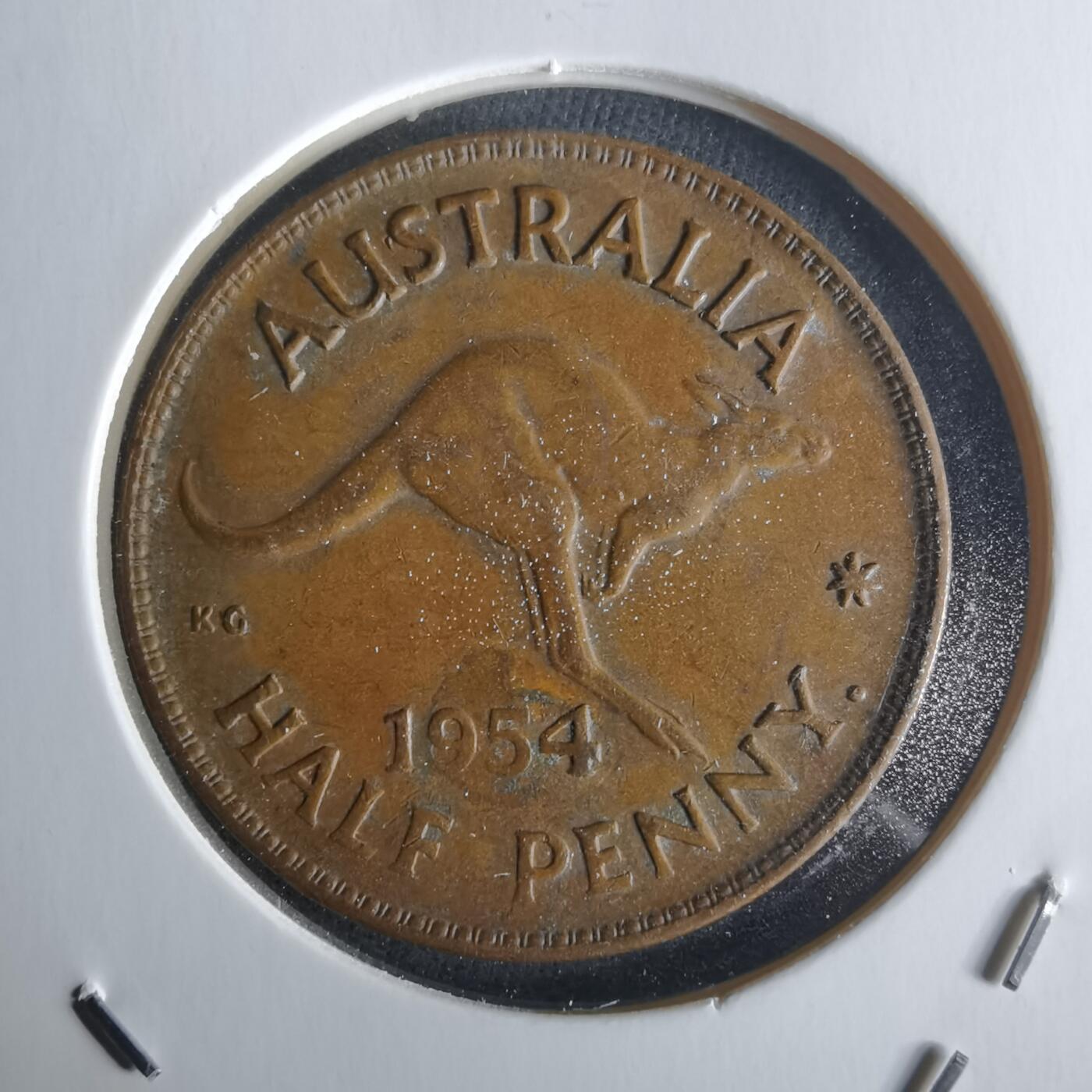 沼泽如烟--第1026场