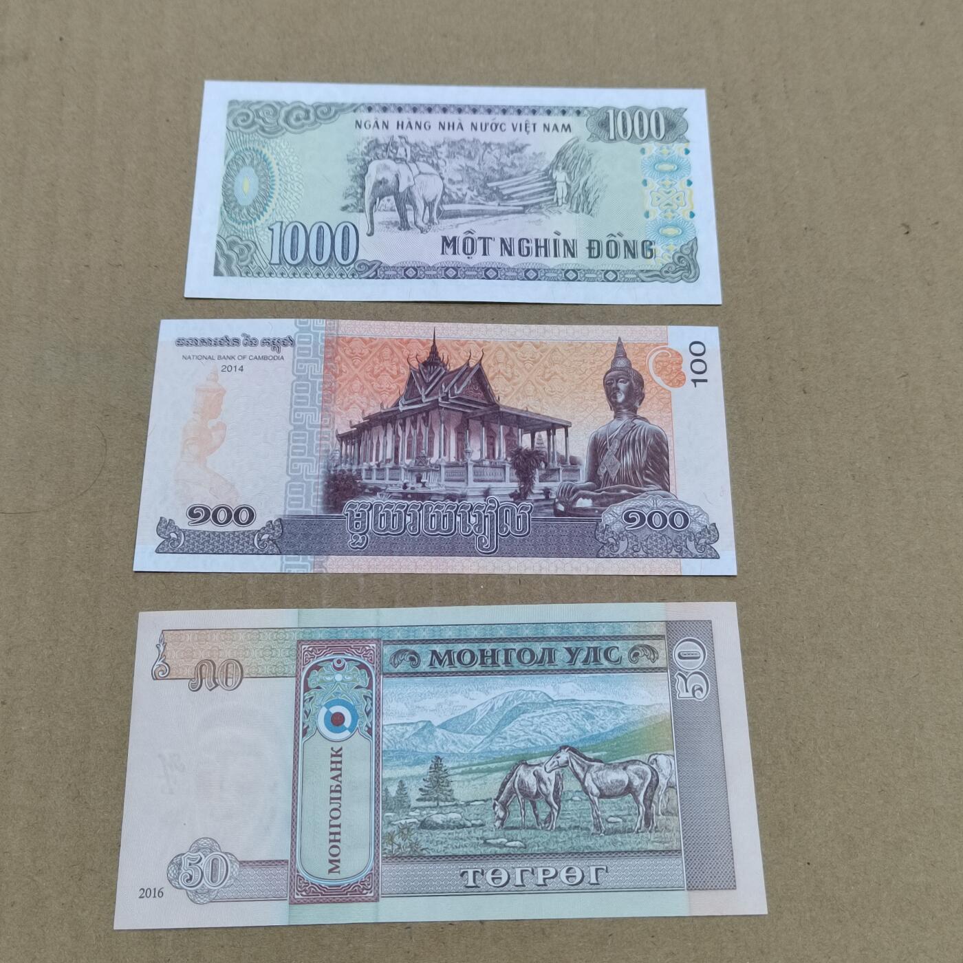 PCAI钱币  18-780  钱币证章邮票评级盒小专场 外币三张