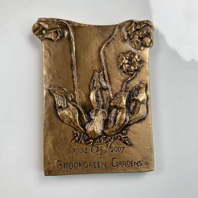 掌中浮雕-藏着的欧洲第055场 - 2007年美国布鲁克林公园#35号大铜章 ， 65 X 82mm，原盒、说明！