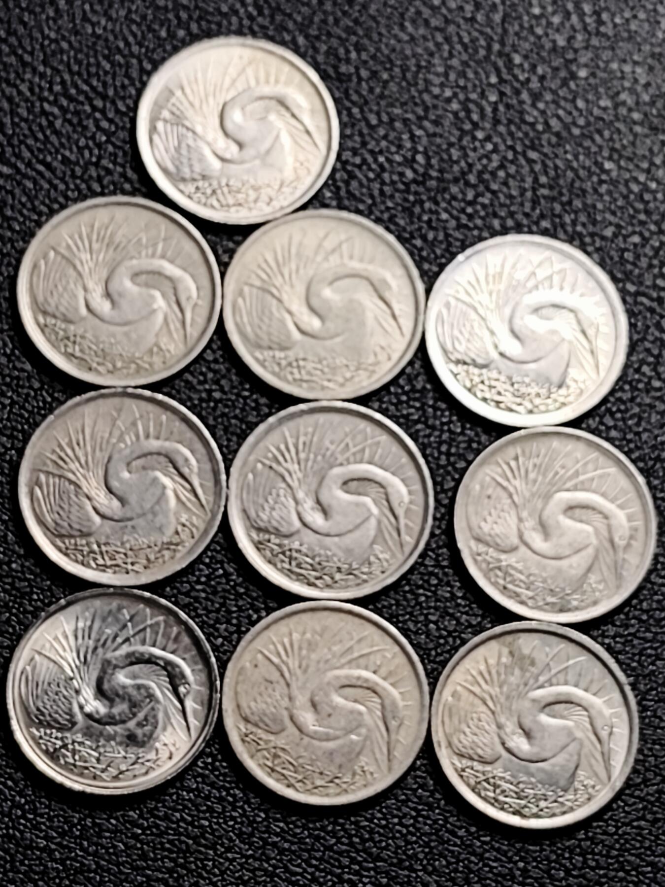 泉币菌-第212场-拍品多 请提前出价（工作最近较忙 发货不及时，望理解） 。