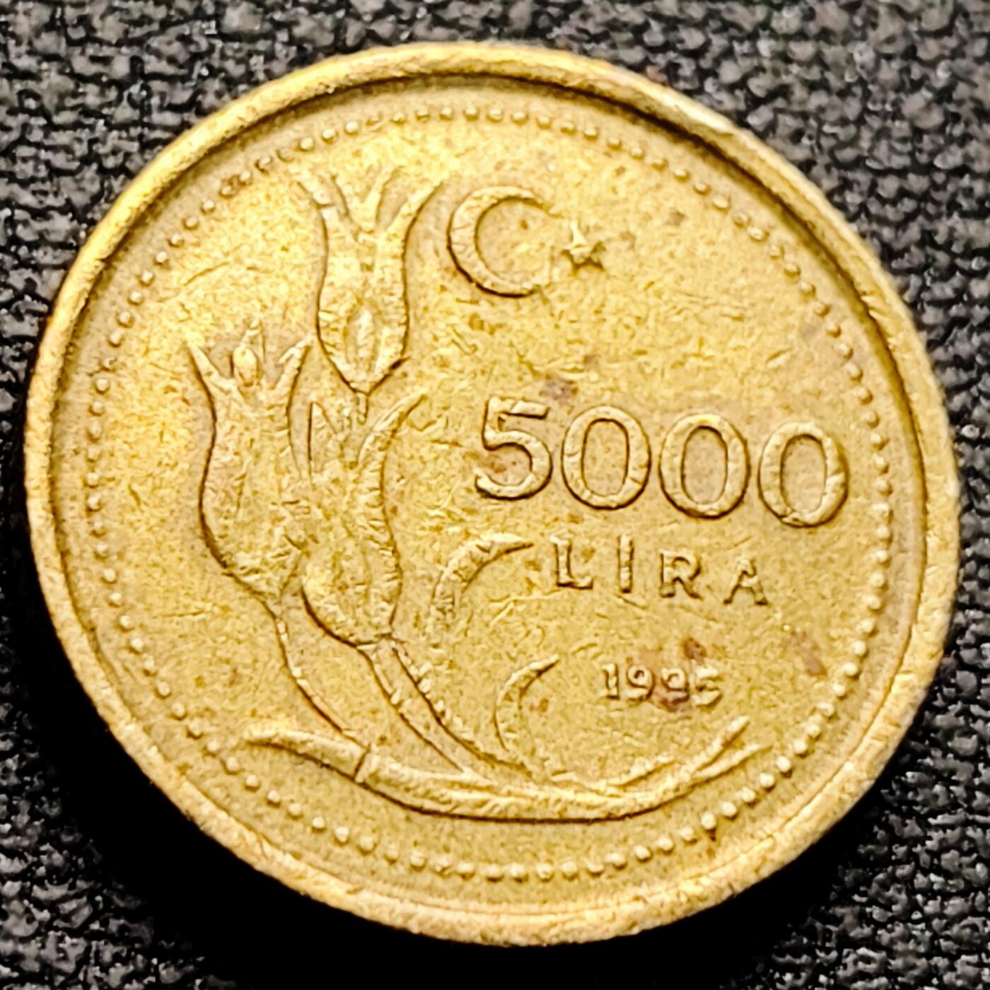 泉币菌-第212场-拍品多 请提前出价（工作最近较忙 发货不及时，望理解） 。