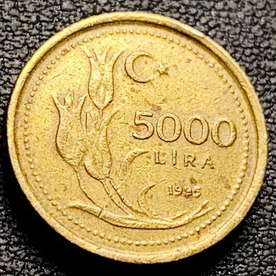 泉币菌-第212场-拍品多 请提前出价（工作最近较忙 发货不及时，望理解） - 厚重 1995年 土耳其5000里拉 19.5mm 