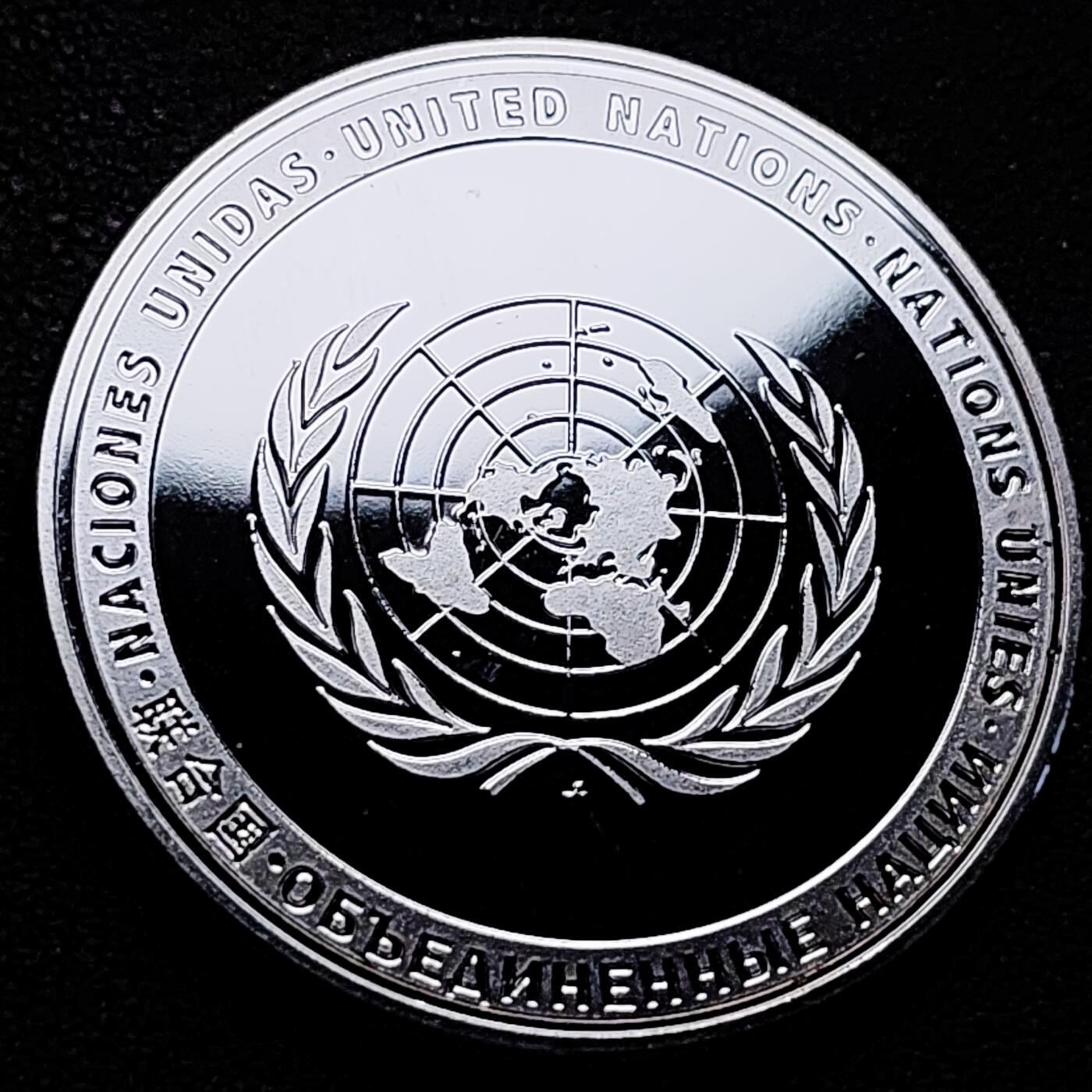 泉币菌-第212场-拍品多 请提前出价（工作最近较忙 发货不及时，望理解） 纪念品 联合国 和平鸽🕊橄榄枝 40×3mm