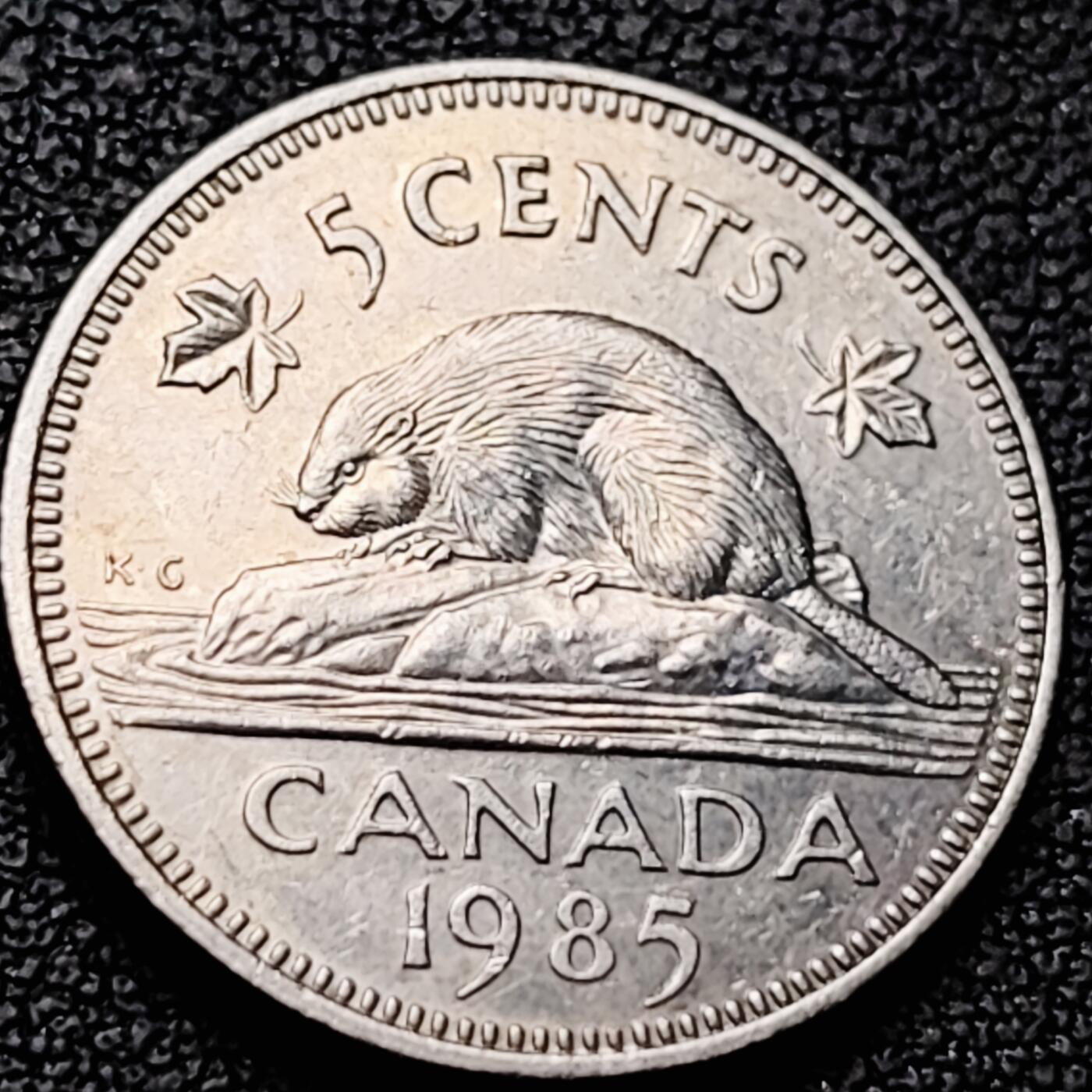 泉币菌-第213场-拍品多 请提前出价（工作最近较忙 发货不及时，望理解） 。