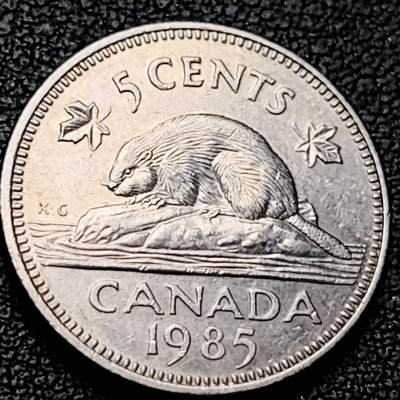 泉币菌-第213场-拍品多 请提前出价（工作最近较忙 发货不及时，望理解） - 1985年 加拿大5分 海狸动物 21mm 