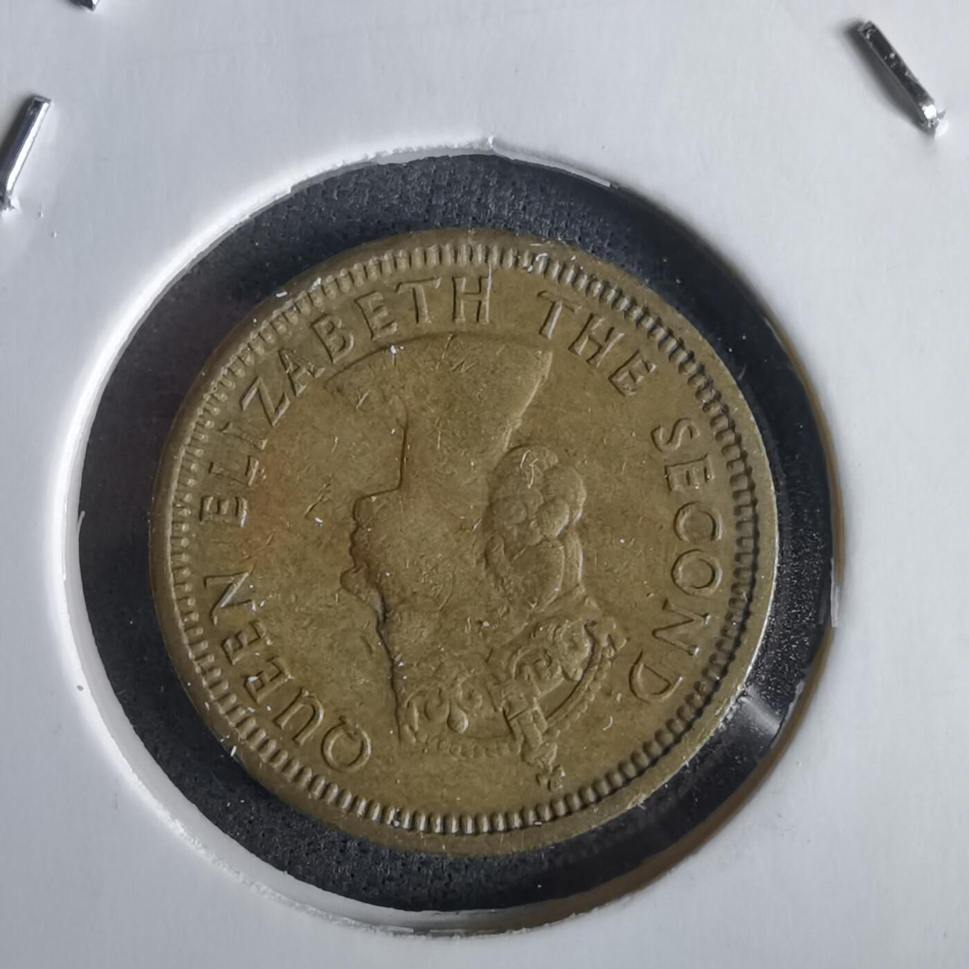 沼泽如烟--第1028场