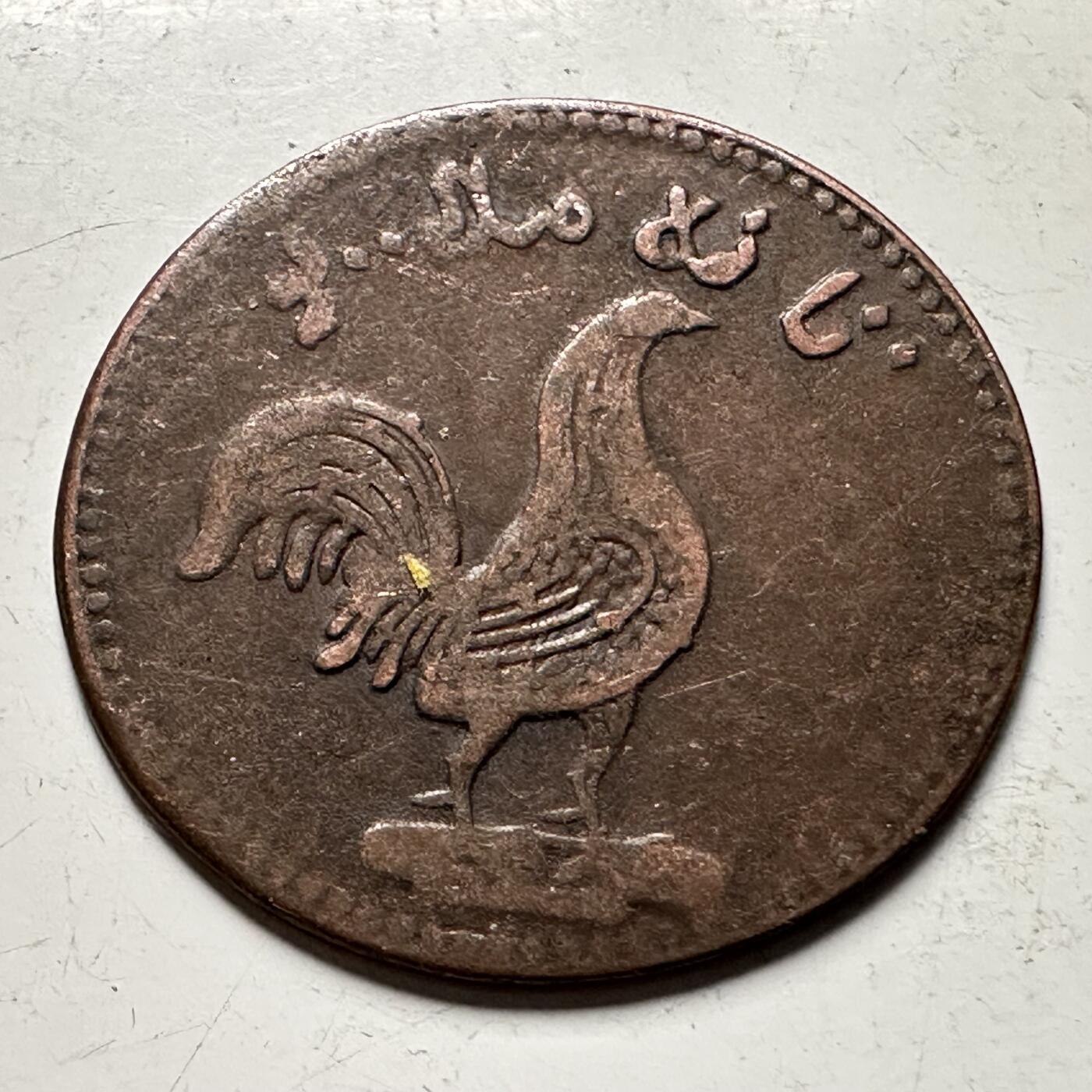 🌹外币初藏🌹🐯2026年第31场   每周二四六晚8️⃣点 接代拍