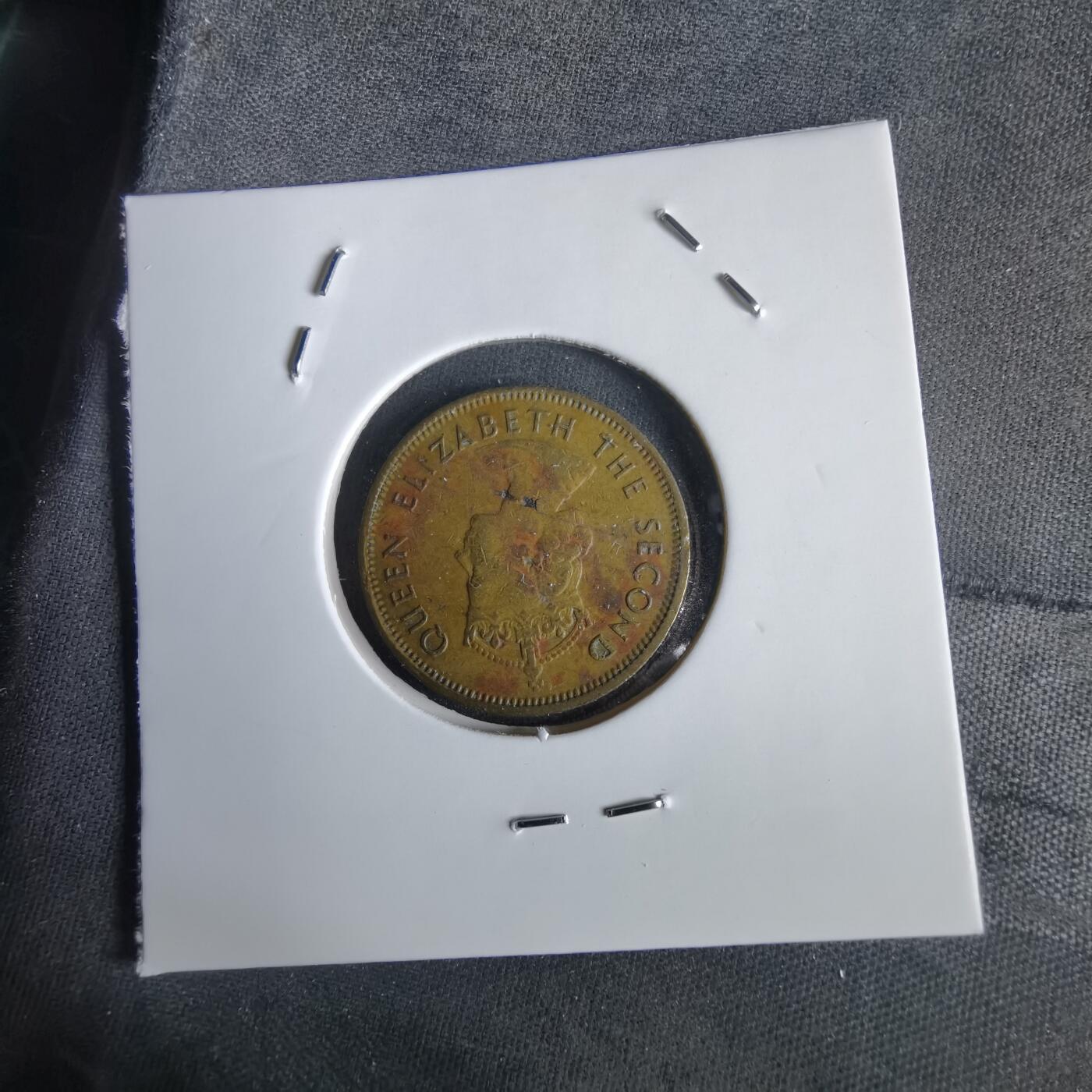 沼泽如烟--第1028场