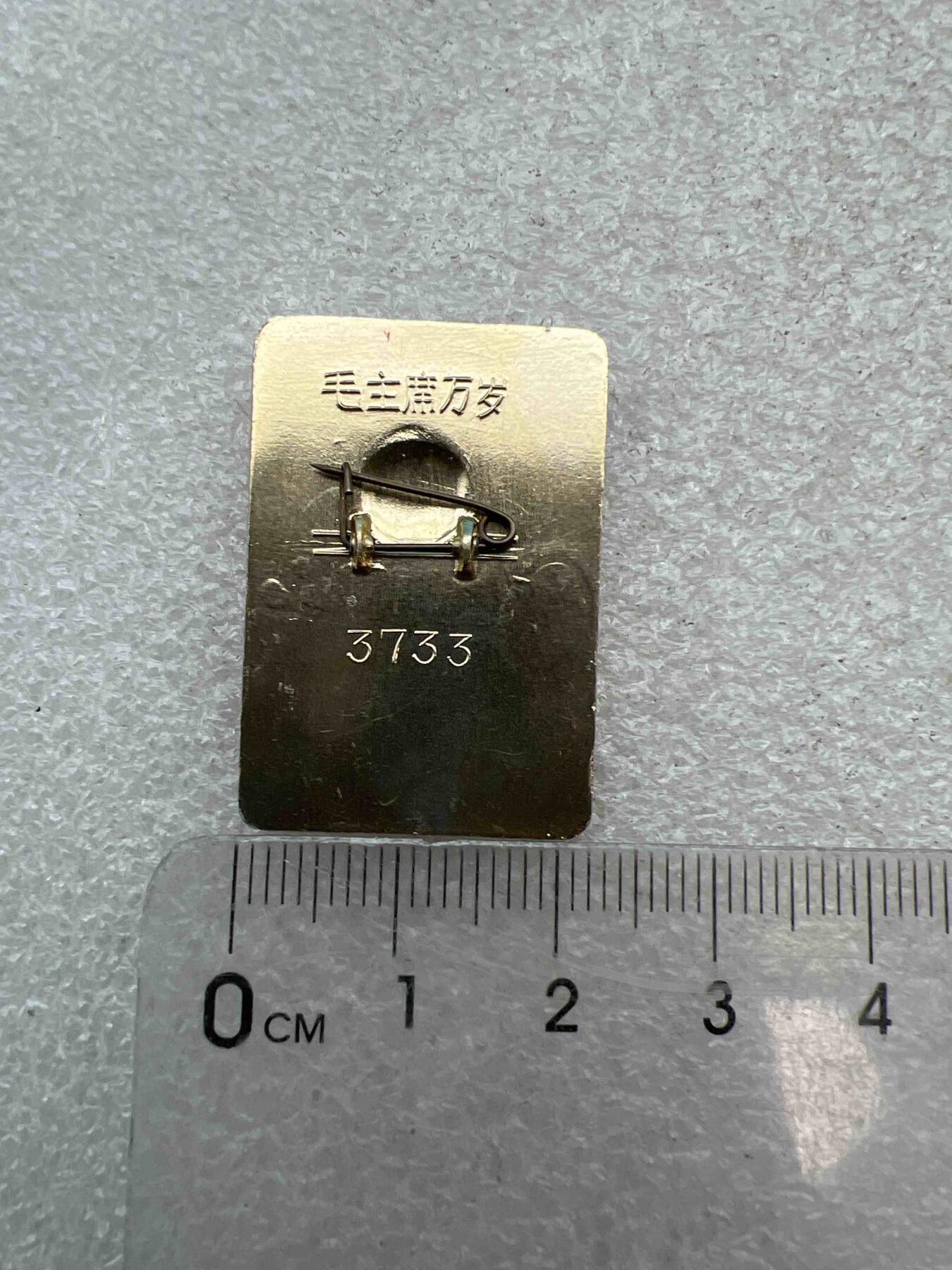 真品像章，纪念章