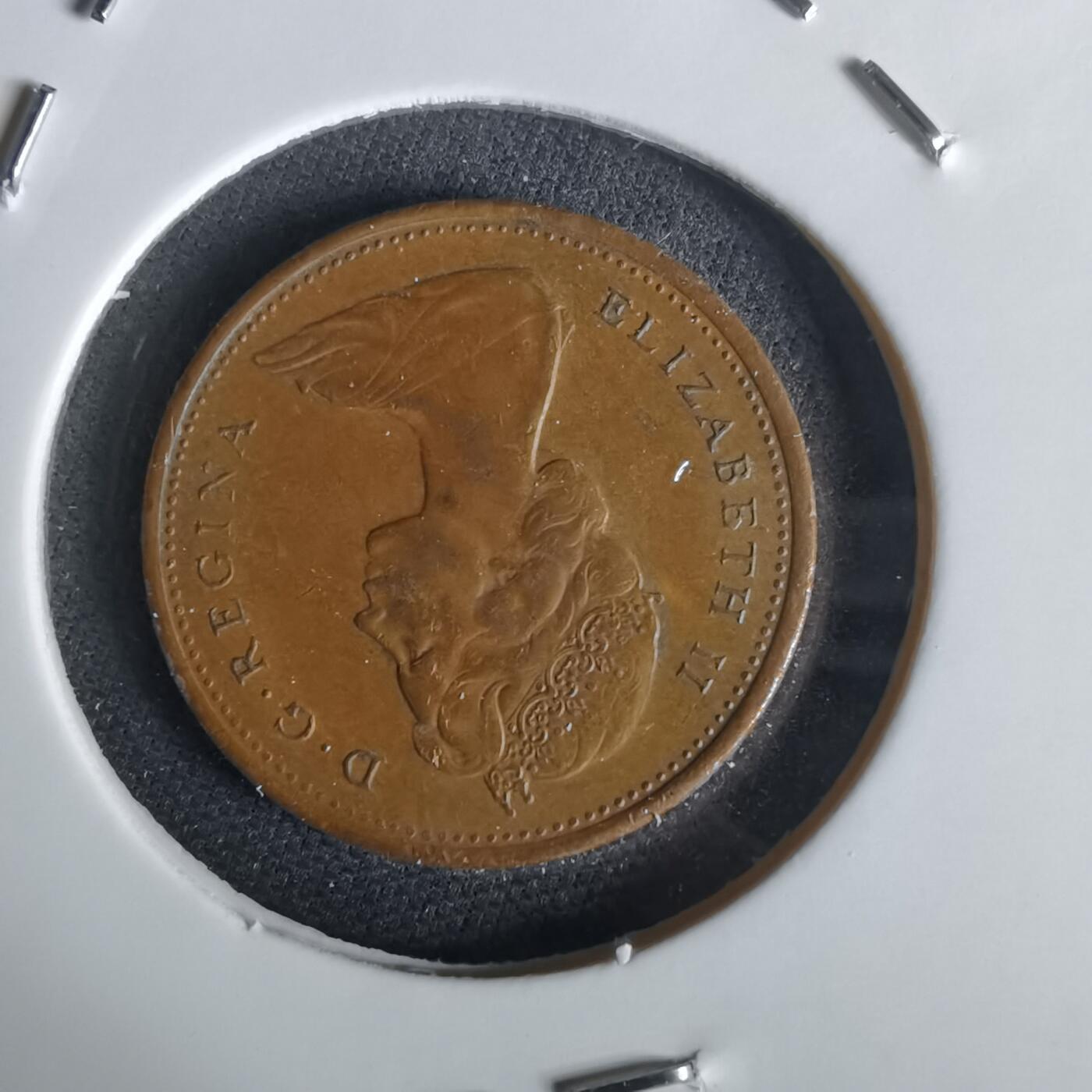 沼泽如烟--第1028场