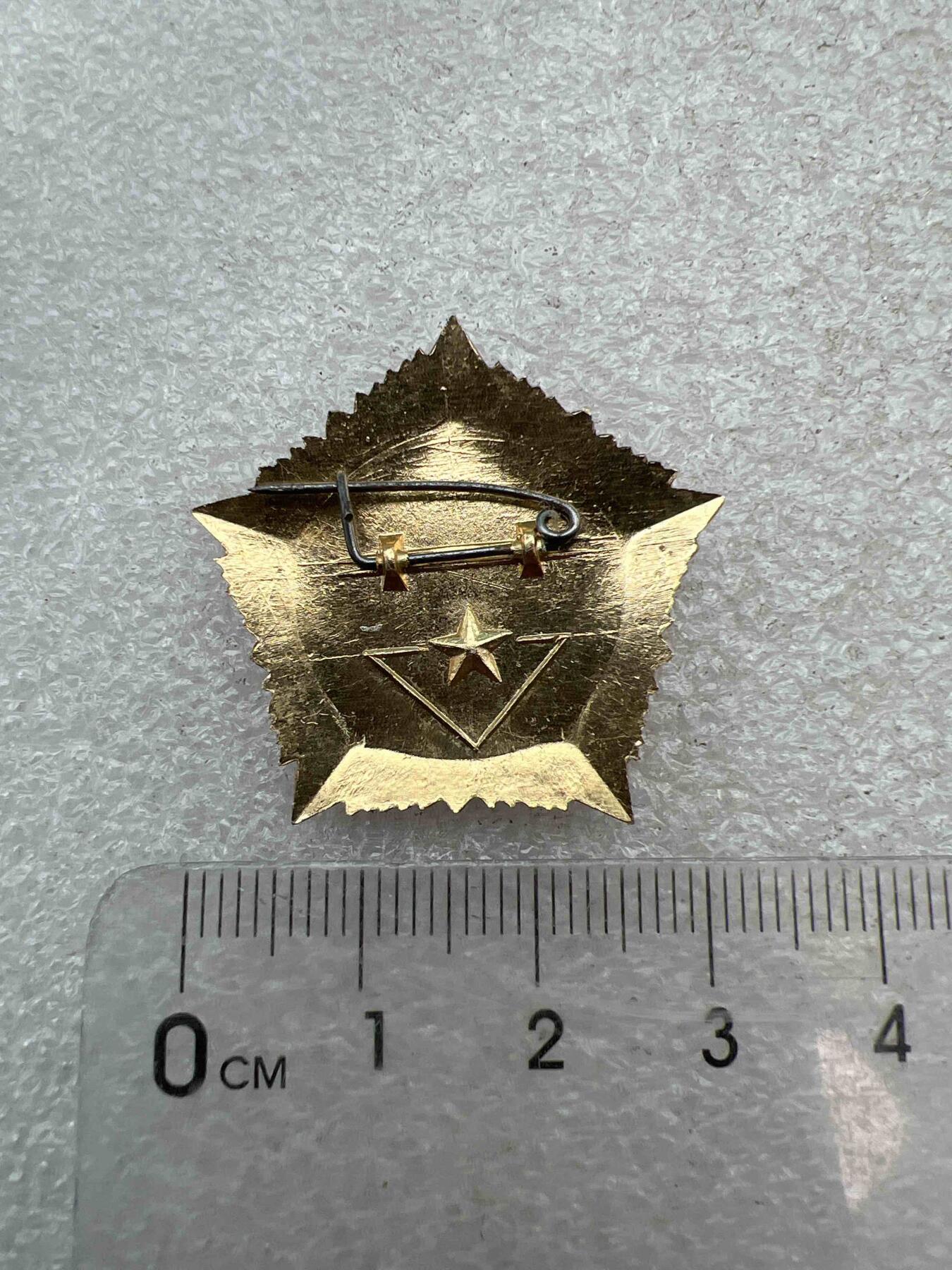 真品像章，纪念章