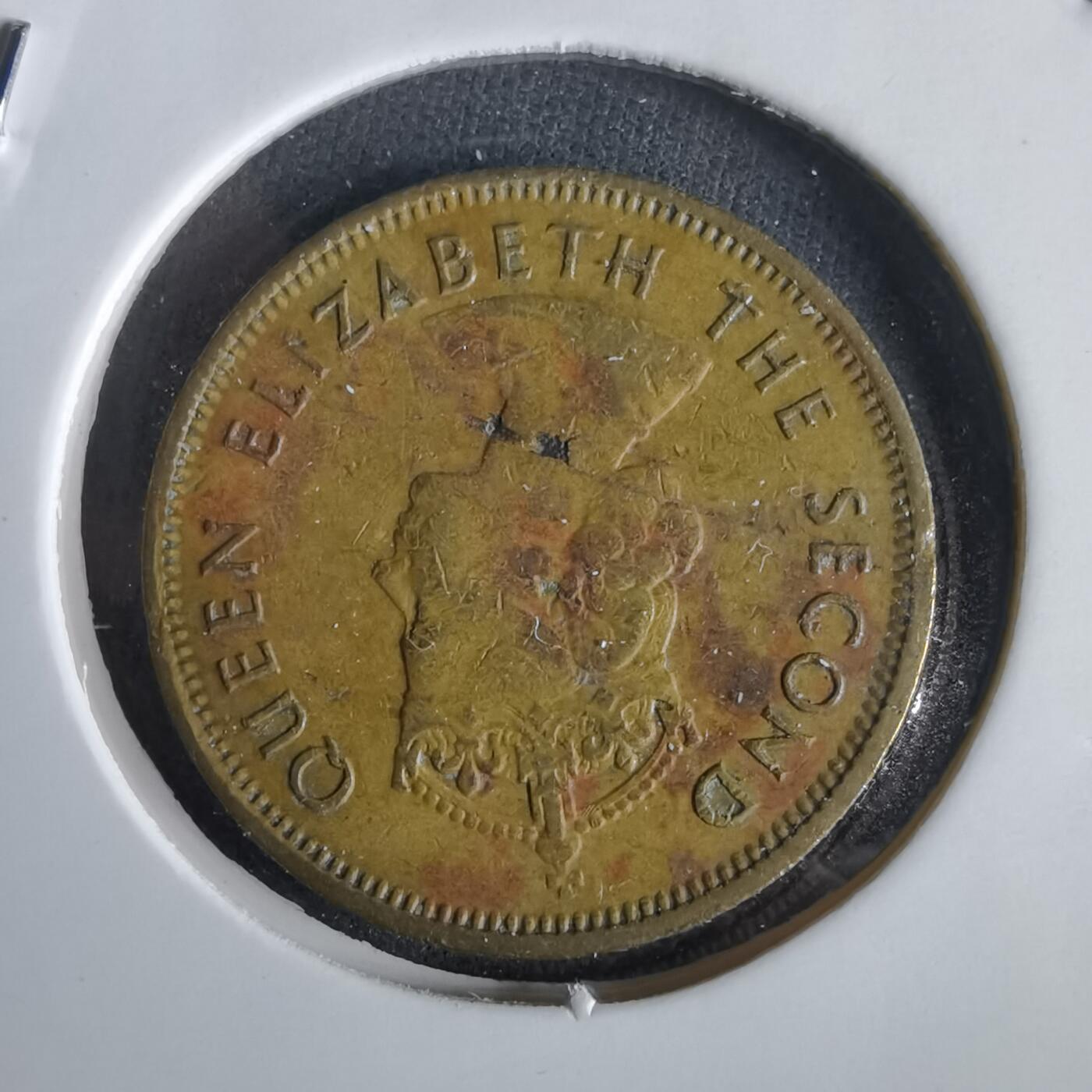 沼泽如烟--第1028场