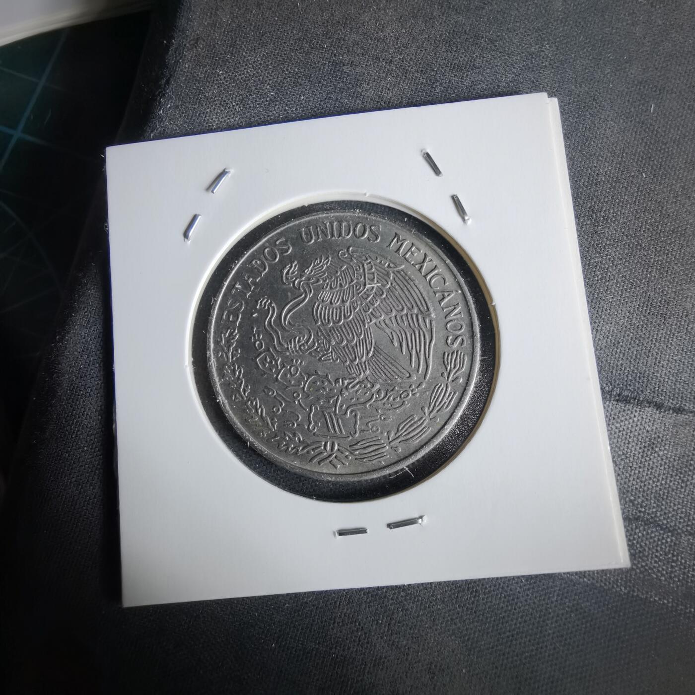 沼泽如烟--第1028场