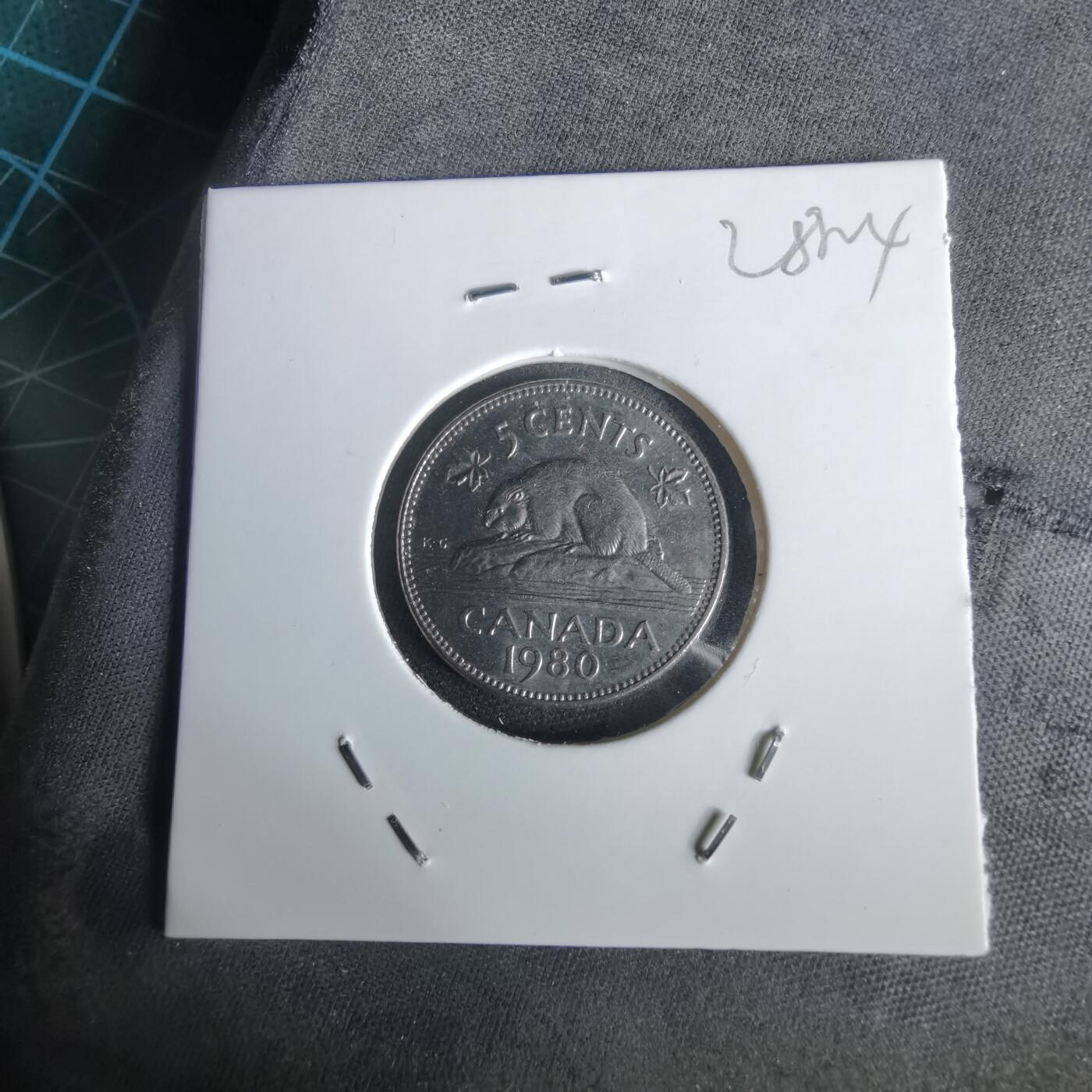 沼泽如烟--第1028场