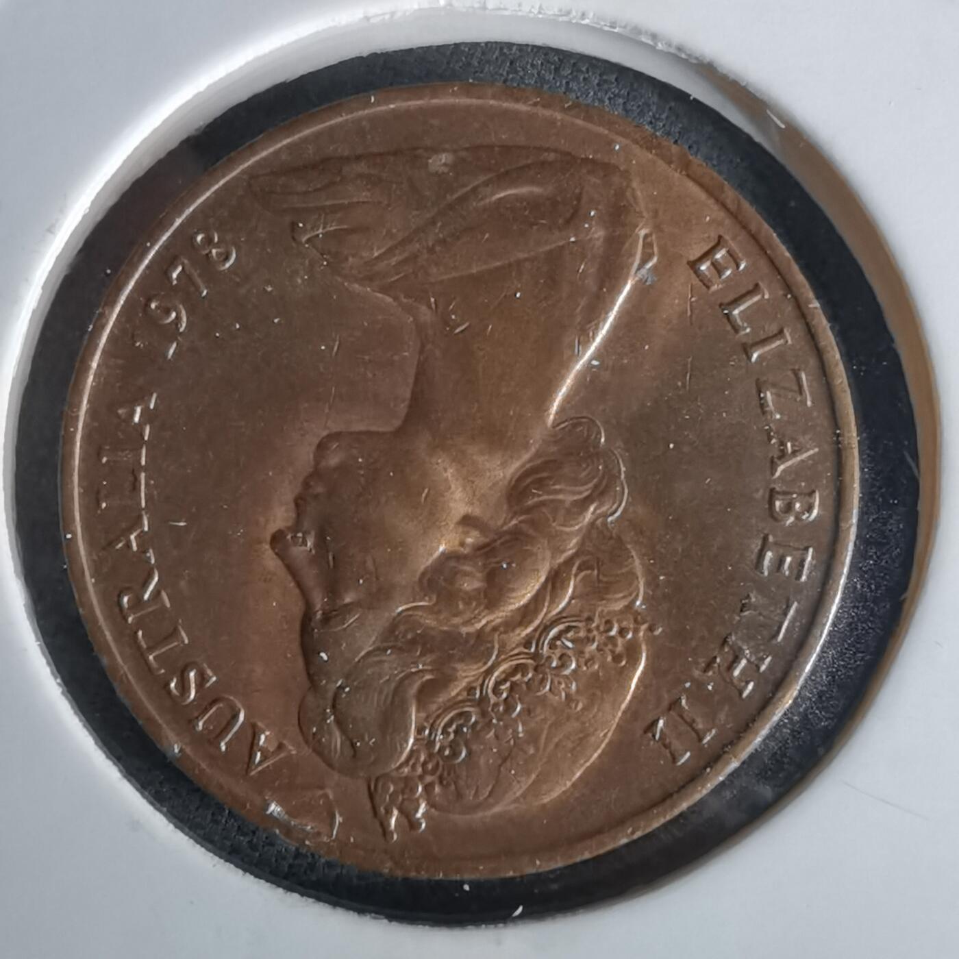 沼泽如烟--第1028场