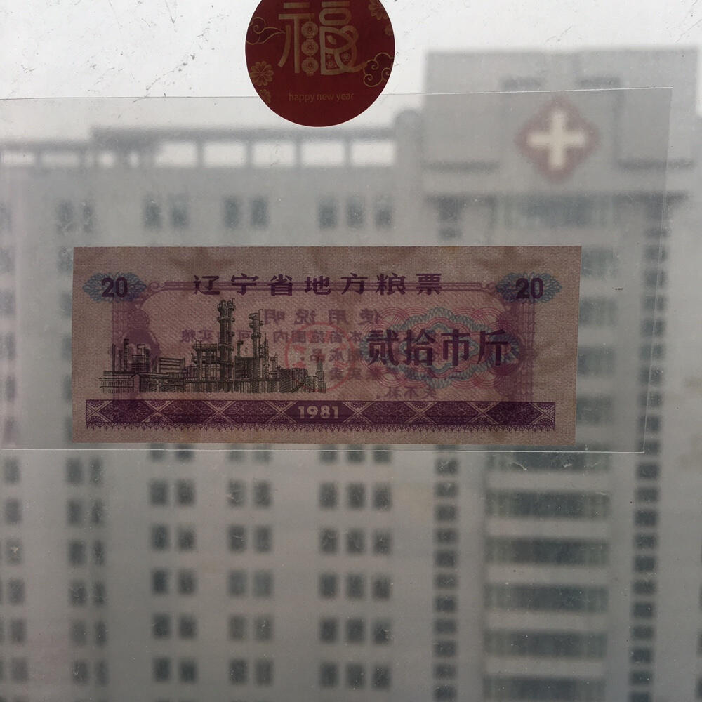         1981年辽宁省地方粮票贰拾市斤全新品相未流通1枚原版真品如图供应票证旧藏文玩艺术收藏