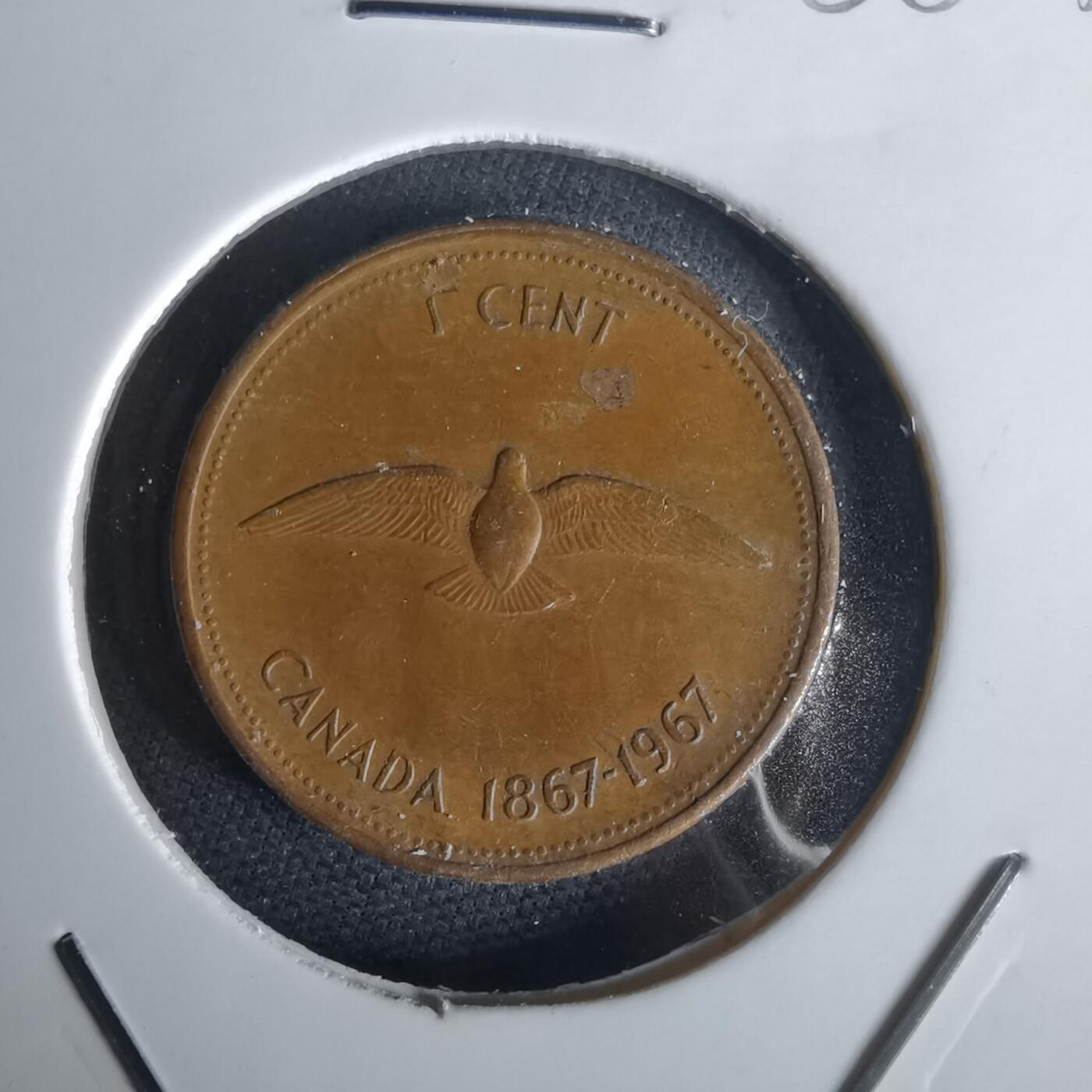 沼泽如烟--第1028场