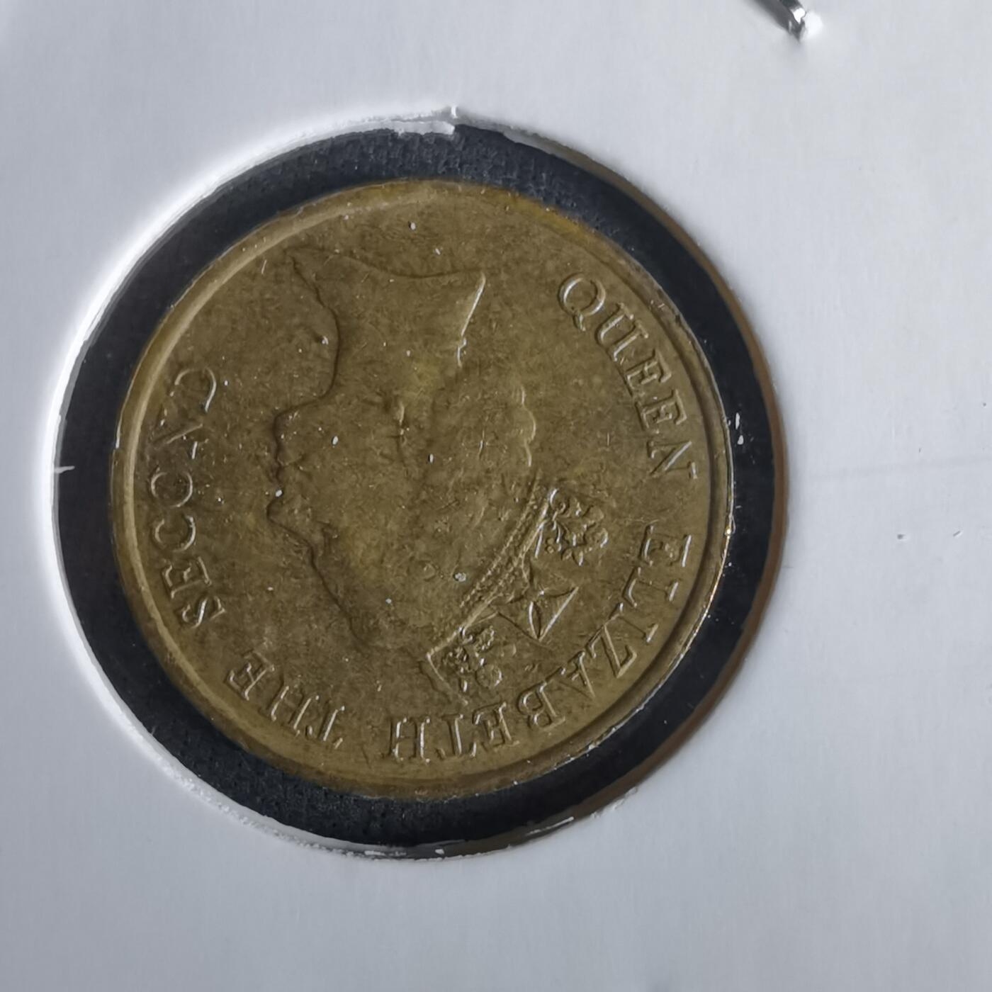 沼泽如烟--第1028场